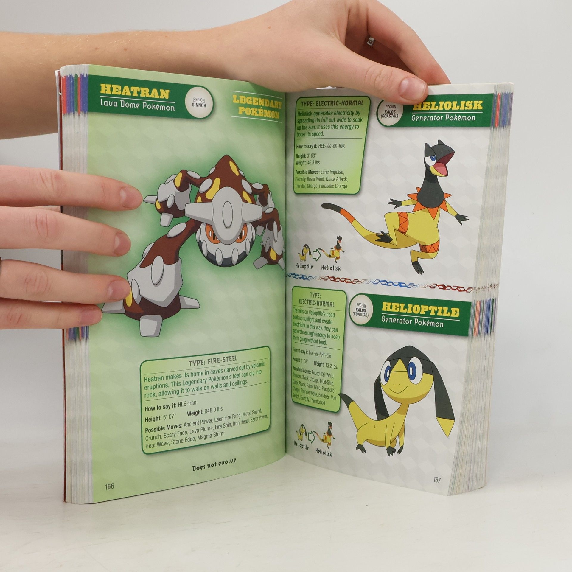 Cris Silvestri Pokemon: Deluxe Essential Handbook