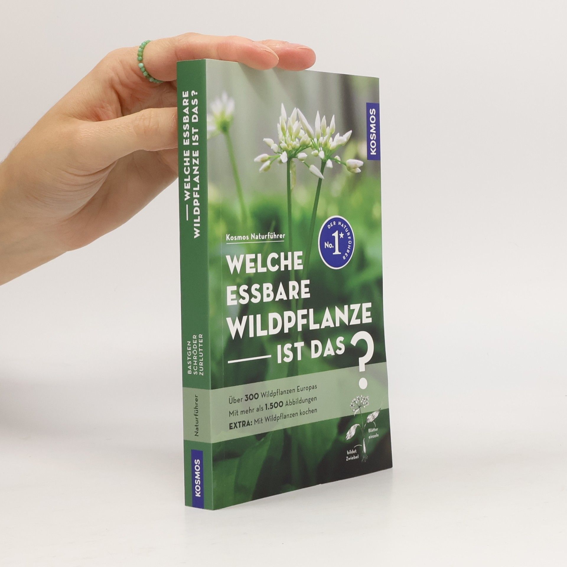 Welche essbare Wildpflanze ist das?