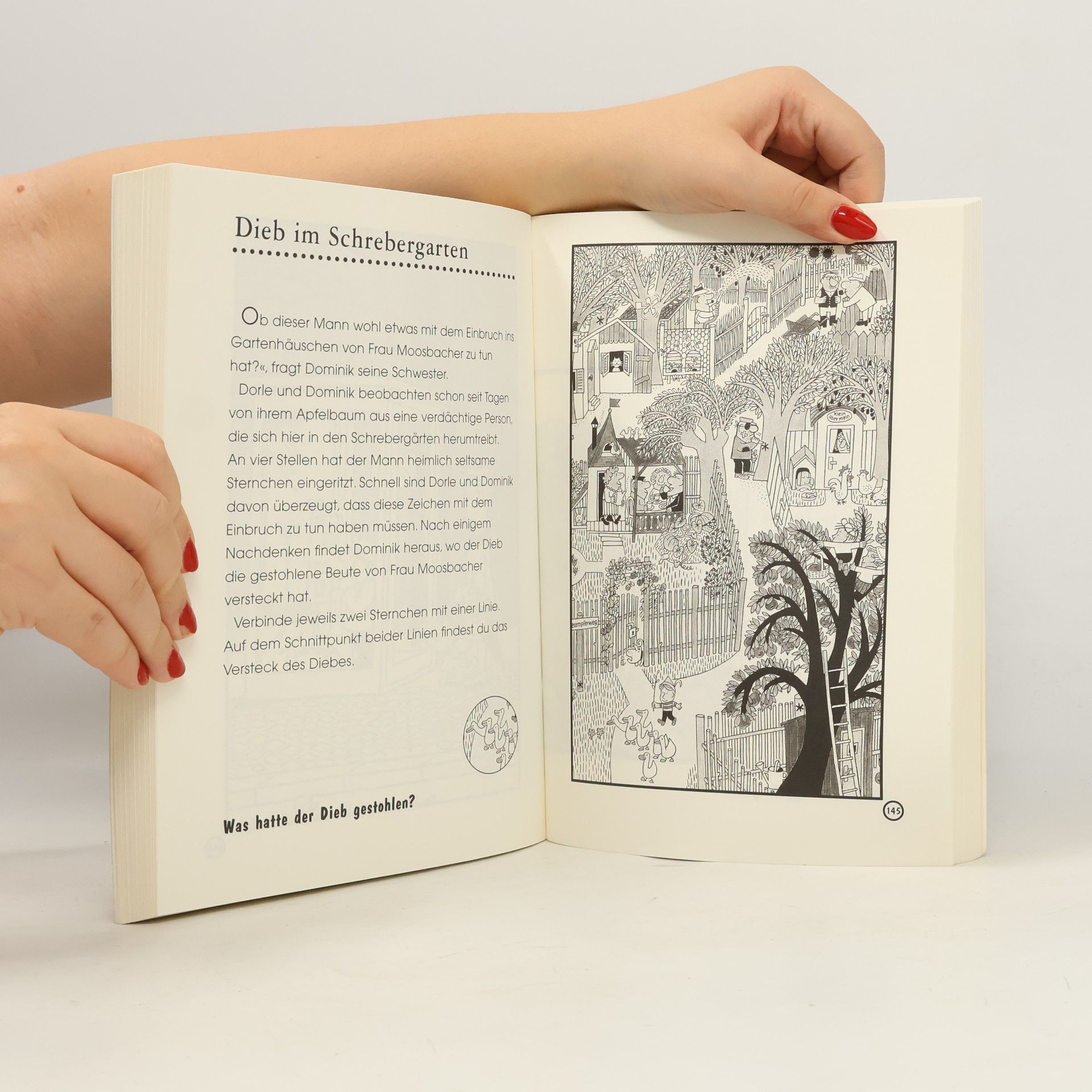 Hans Jürgen Press Das grosse Rätselbuch für Spürnasen