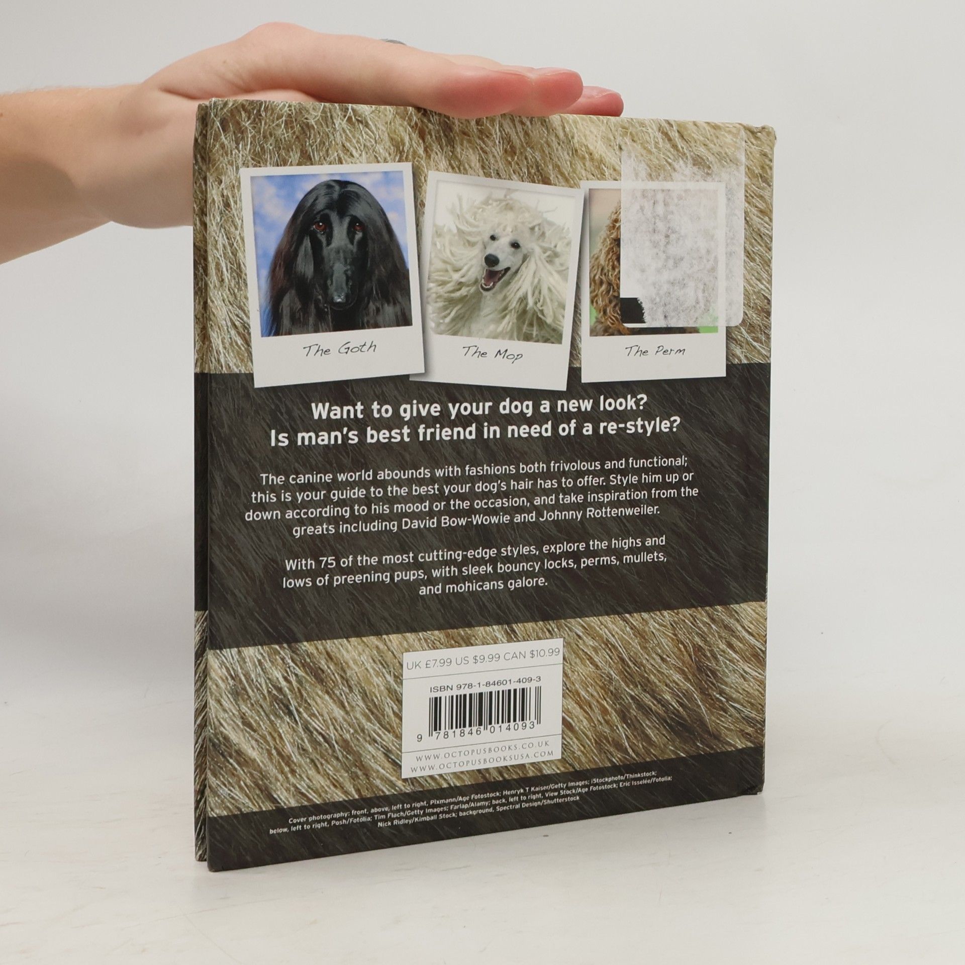 Spruce Dog Hair
