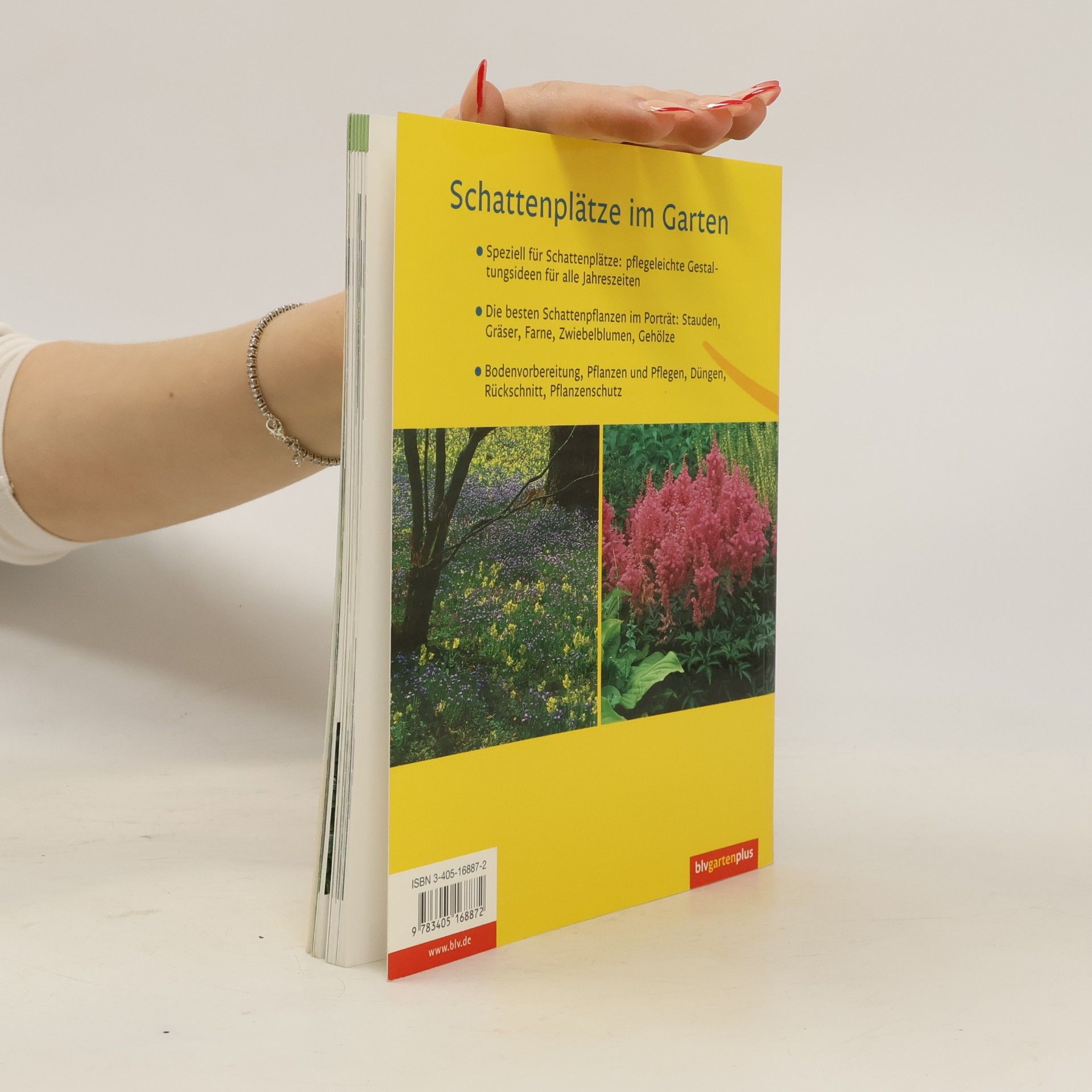 Dorothée Waechter Schattenplätze im Garten