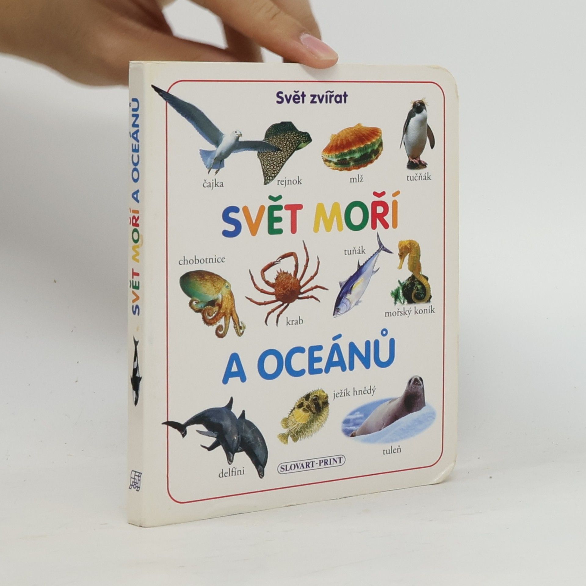 Collectif d'auteurs Svět moří a oceánů