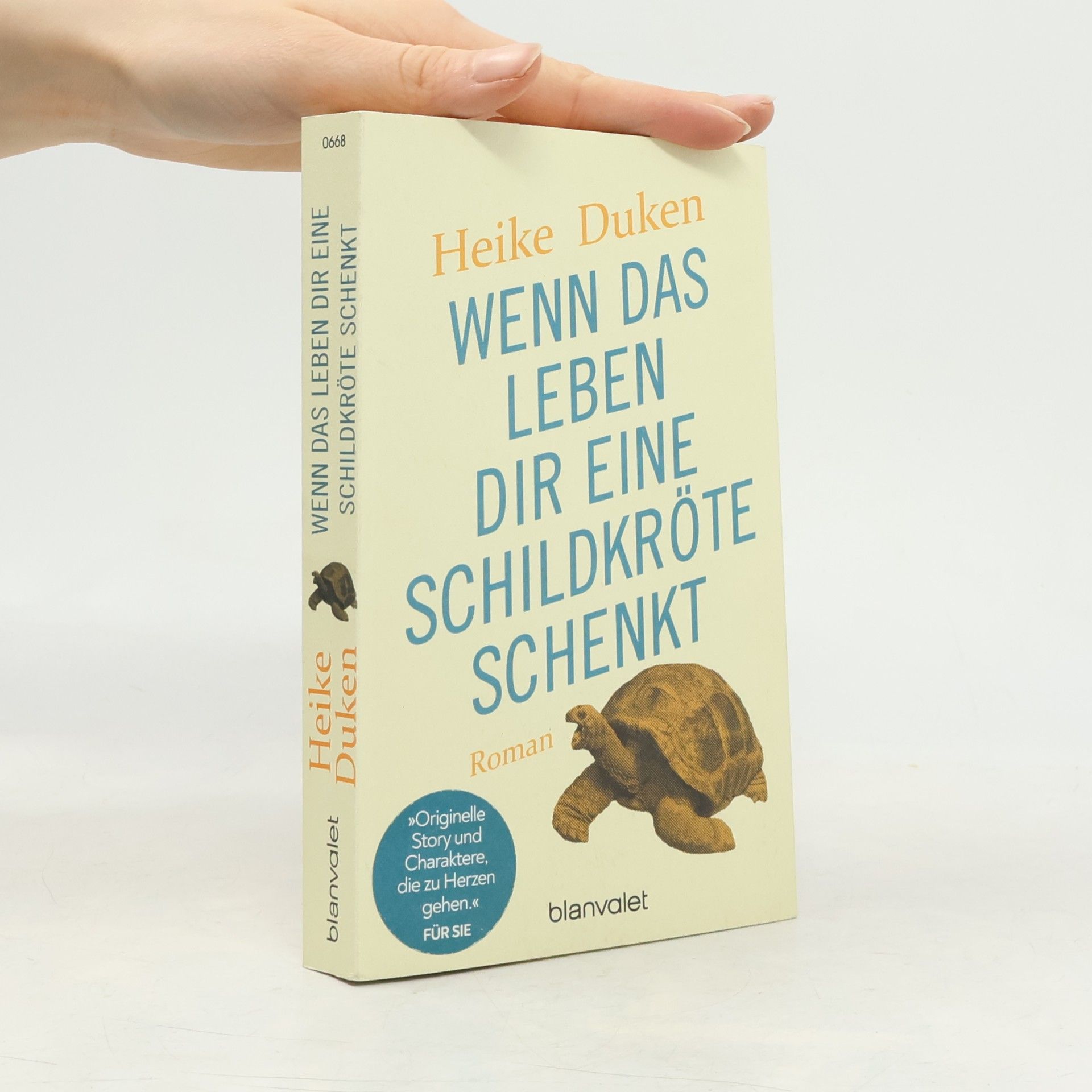 Wenn das Leben dir eine Schildkröte schenkt