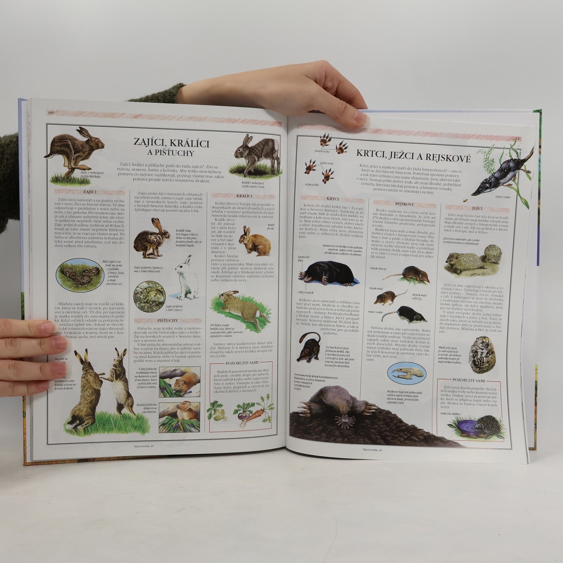 Various authors Svět přírody. Ottova ilustrovaná encyklopedie
