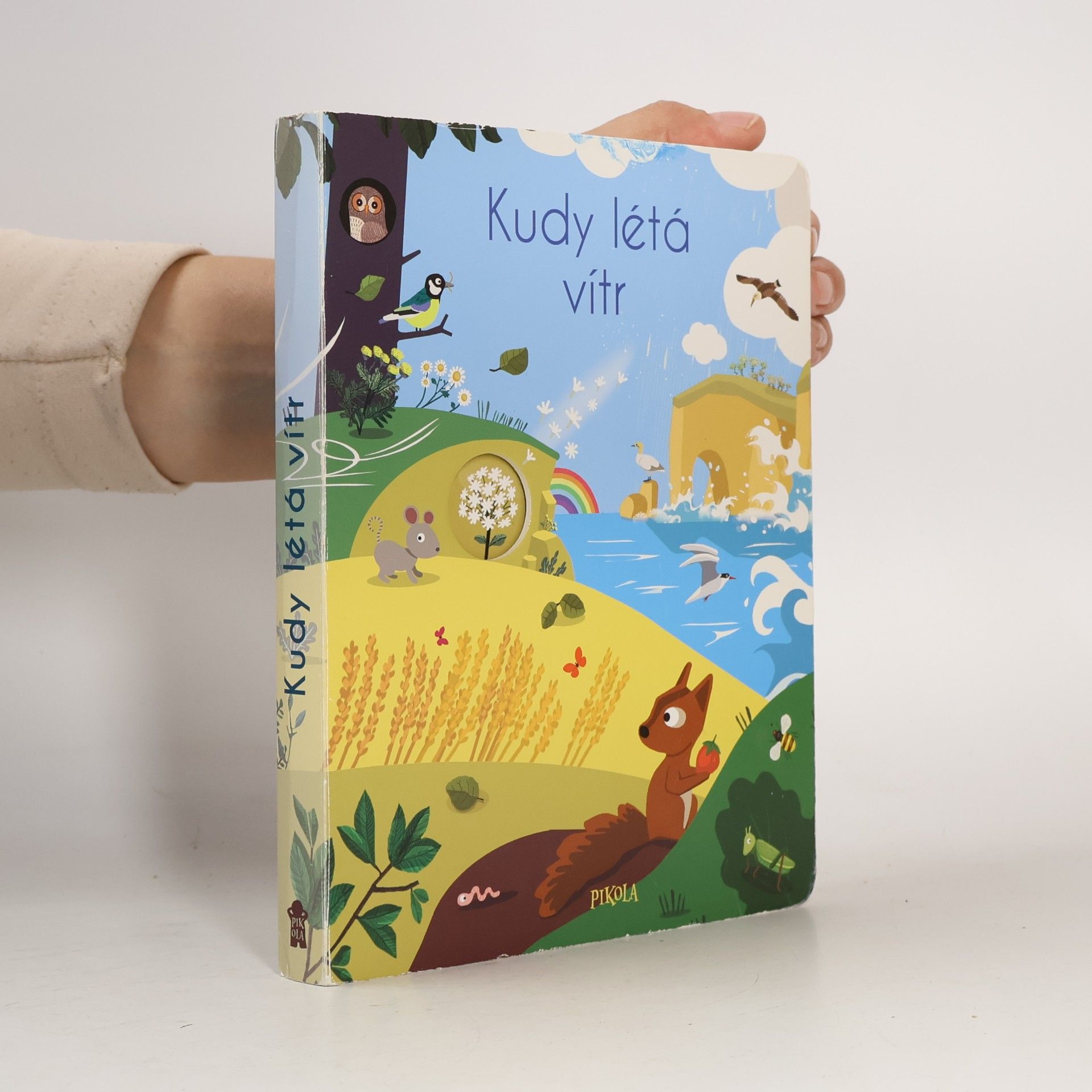 Kudy létá vítr