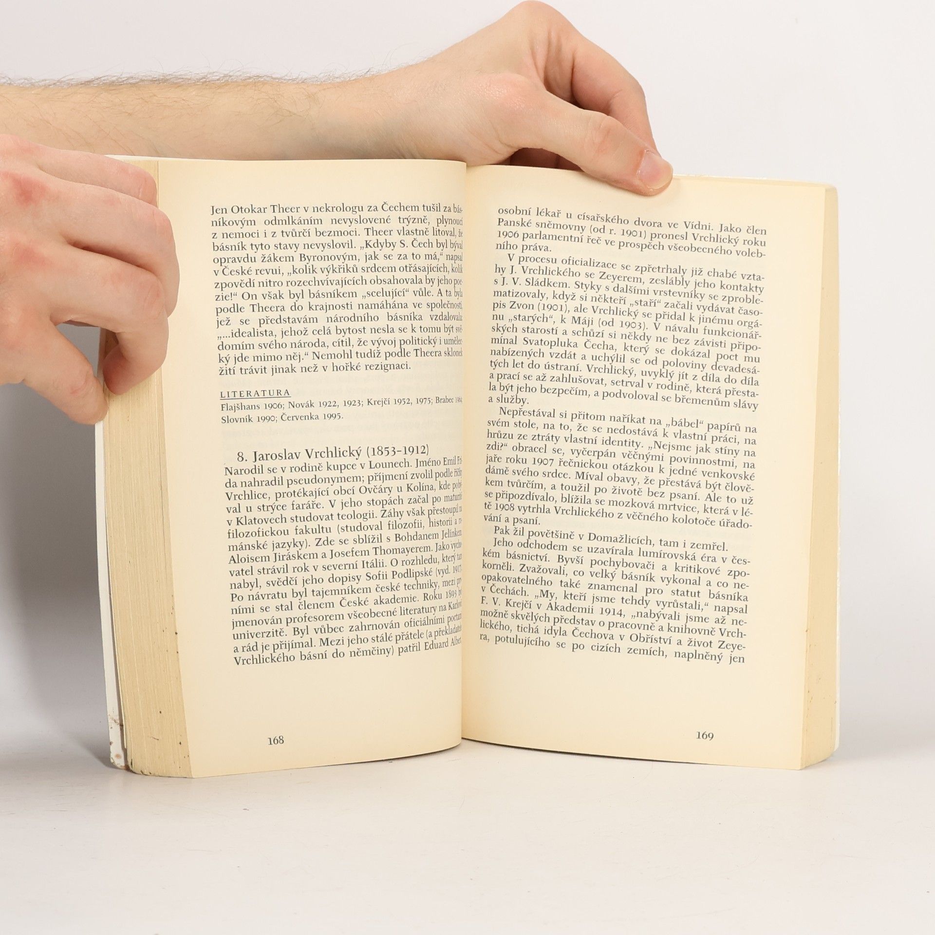 Jaroslava Janáčková Česká literatura 2 : od romantismu do symbolismu