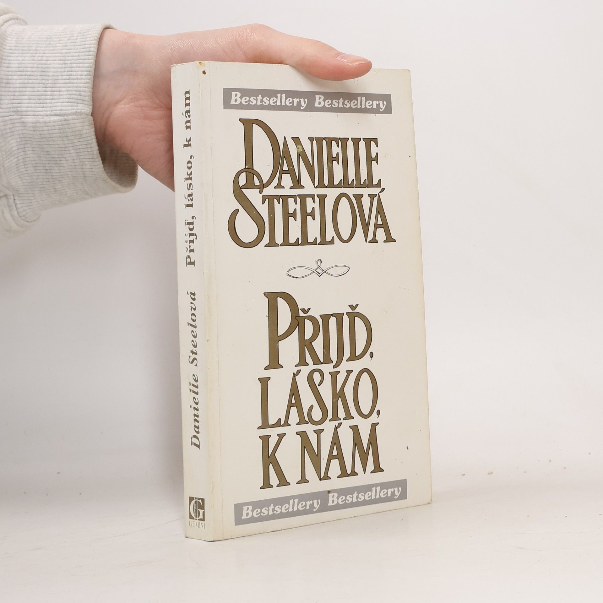 Danielle Steel Přijď, lásko, k nám