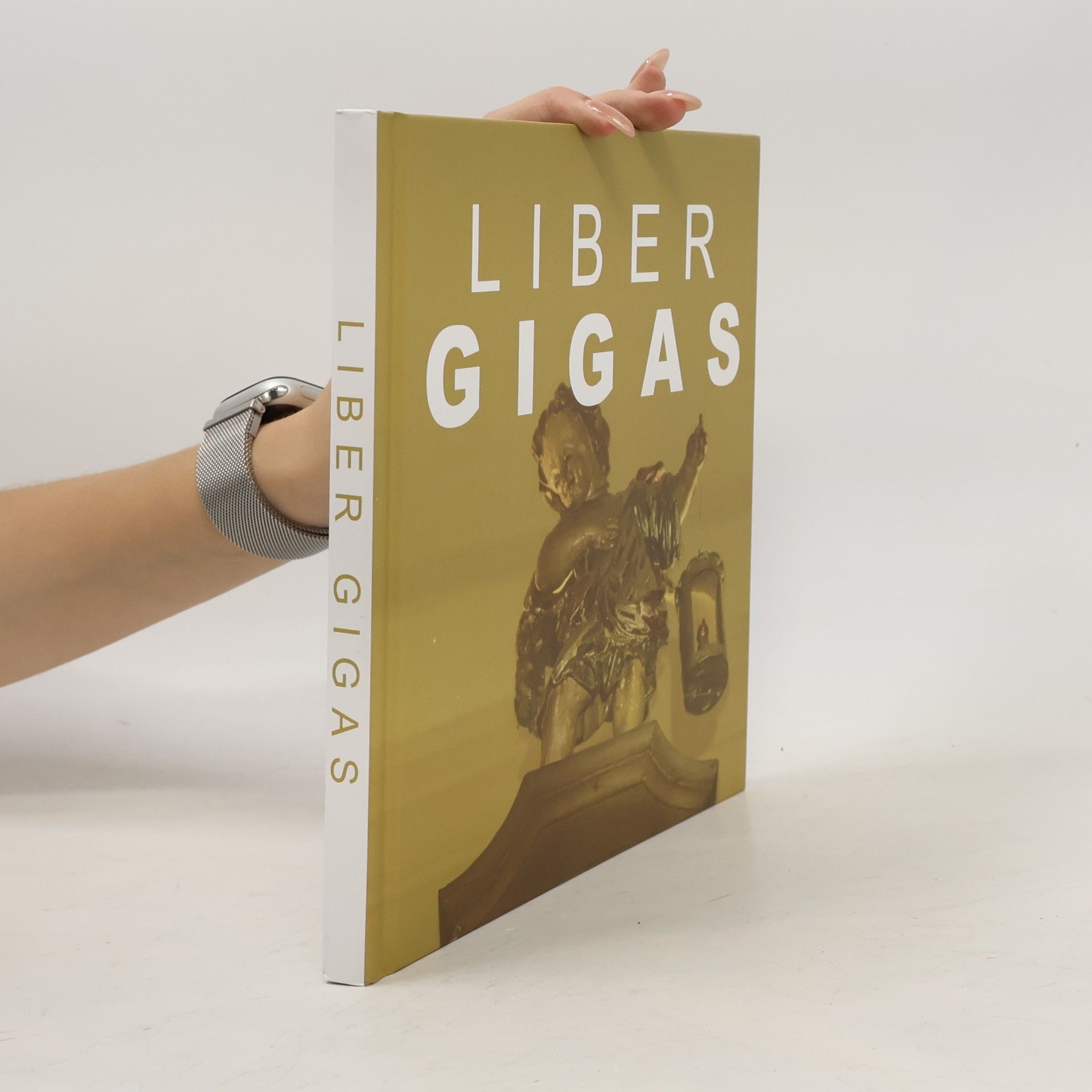 Liber Gigas