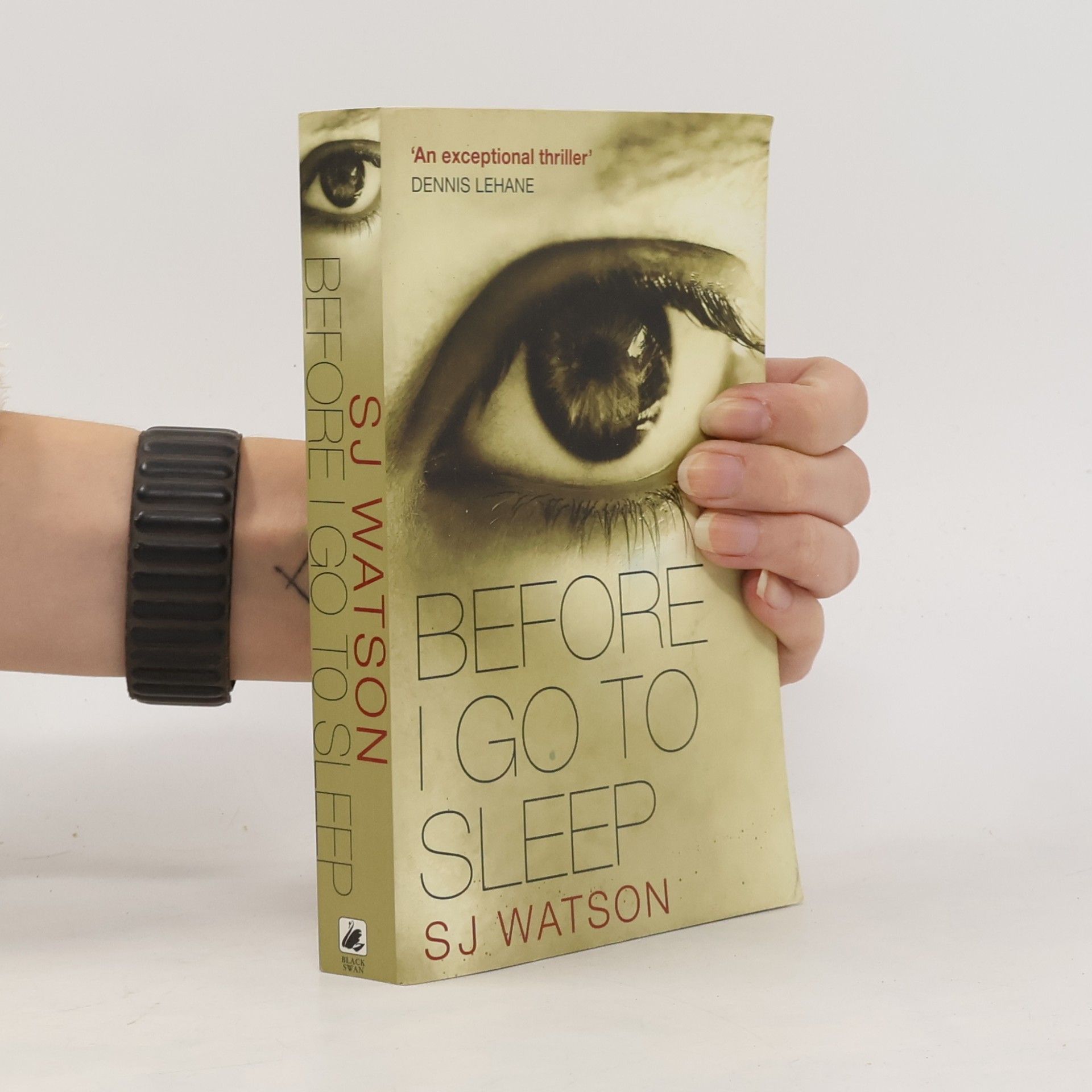 S. J. Watson Before I Go to Sleep