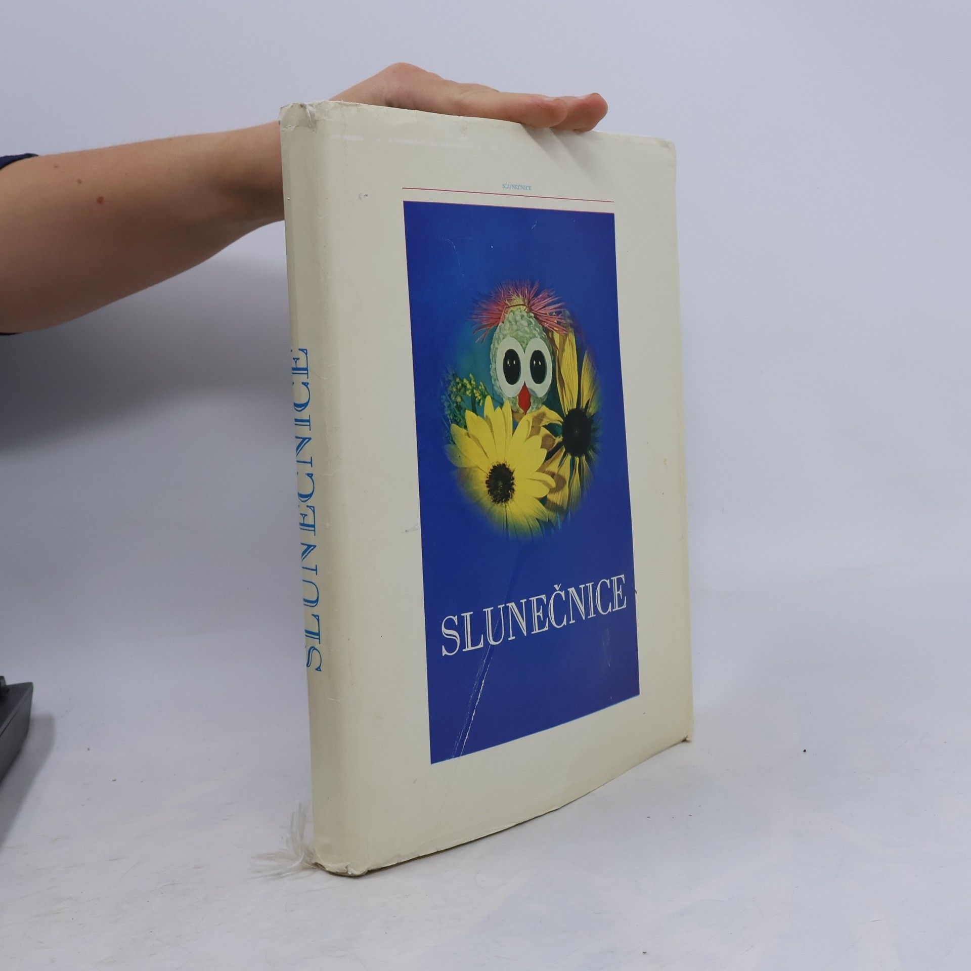 Jaroslav Novák Slunečnice