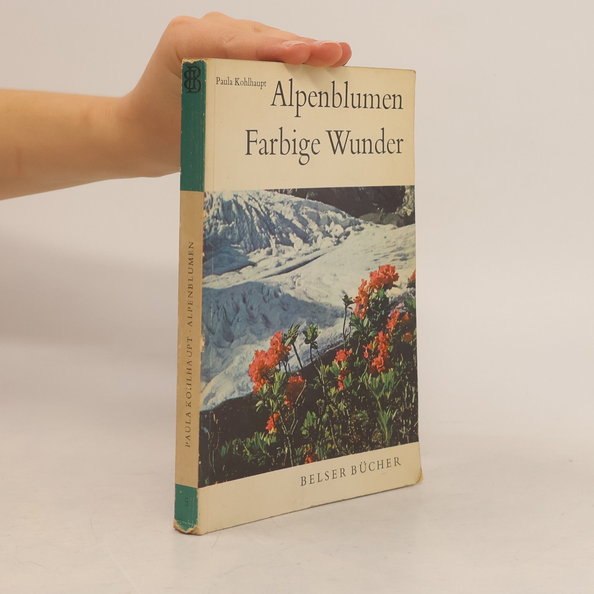 Alpenblumen. Farbige Wunder