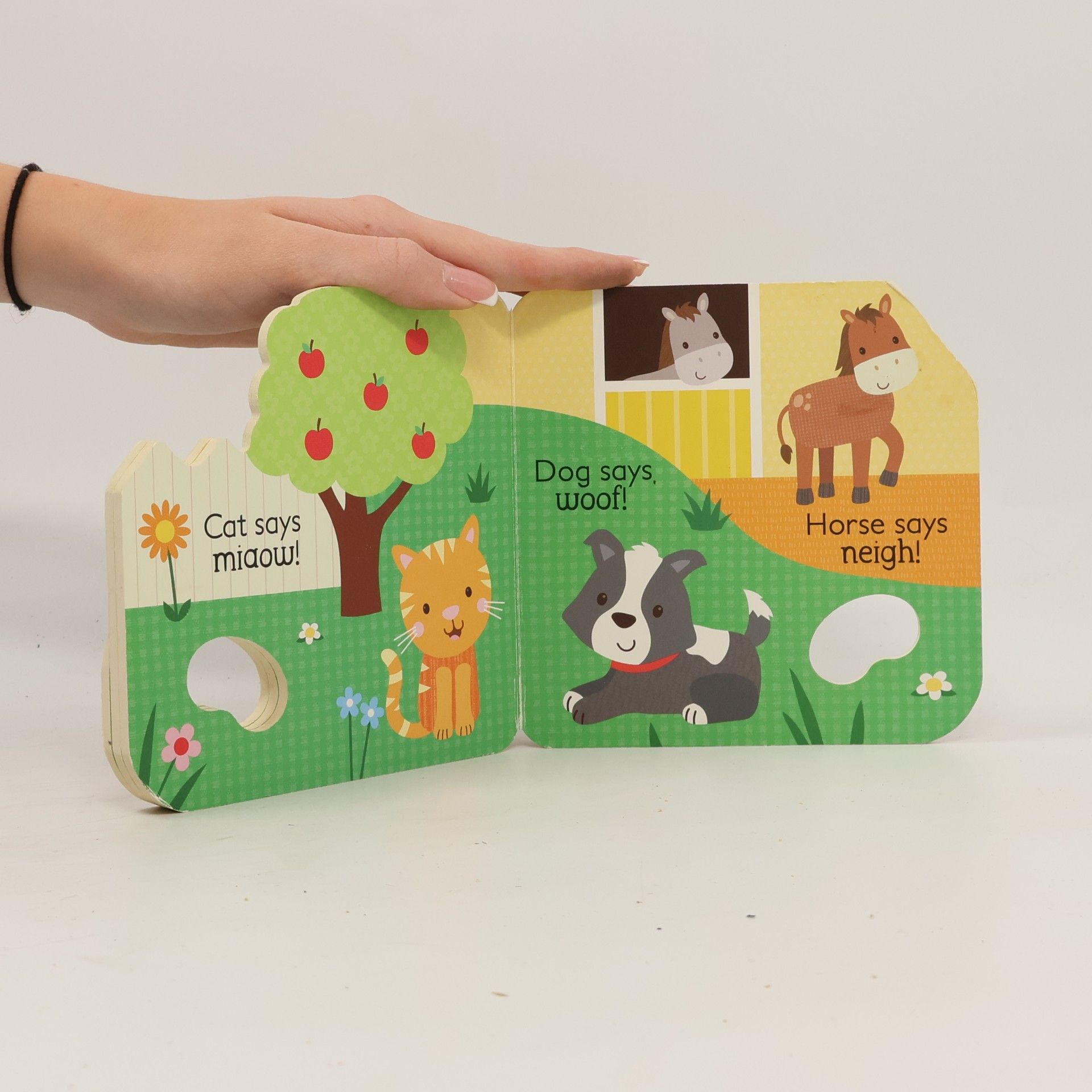 Parragon Editors Little Learners Cow Says Moo