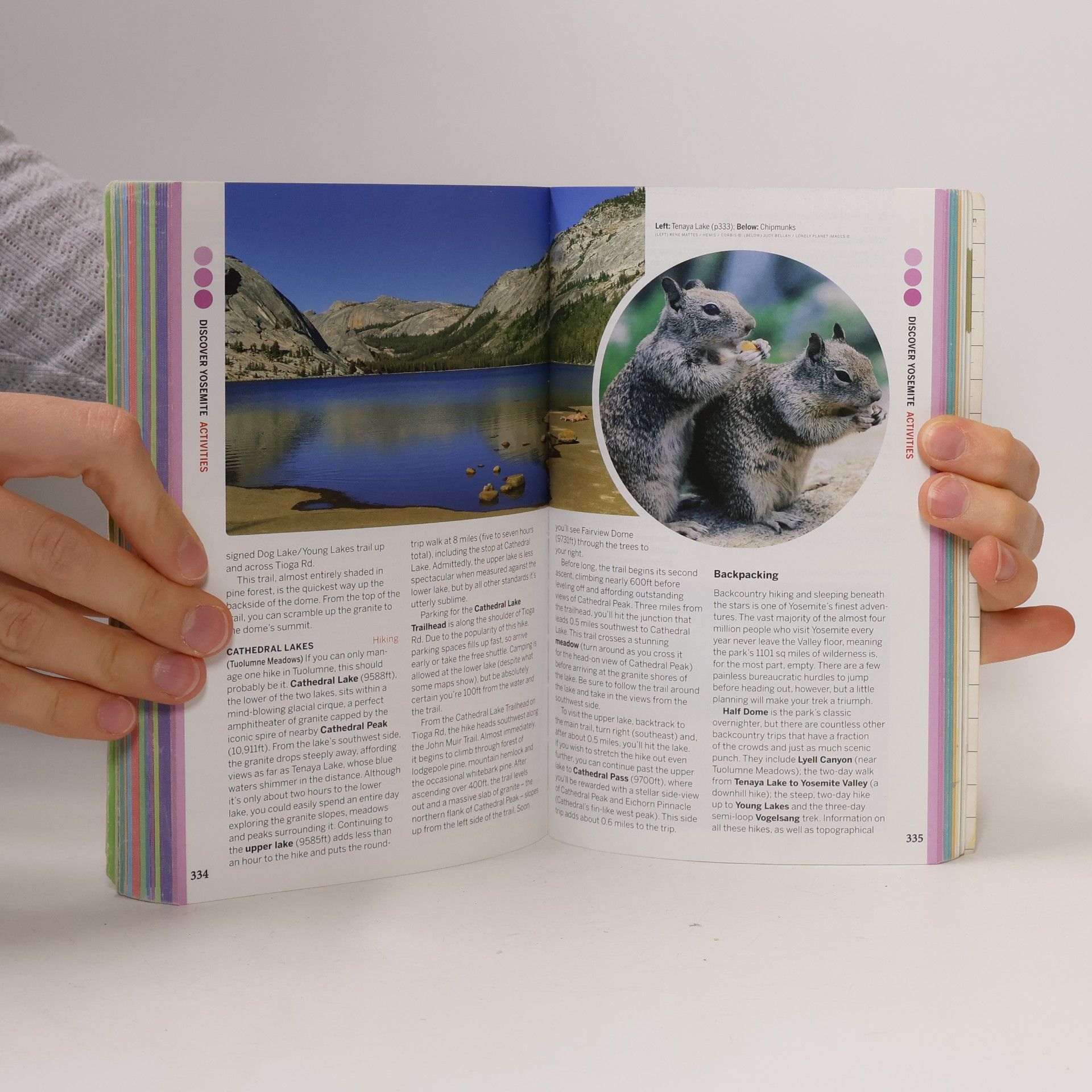 Autorenkollektiv Discover USA's Best National Parks