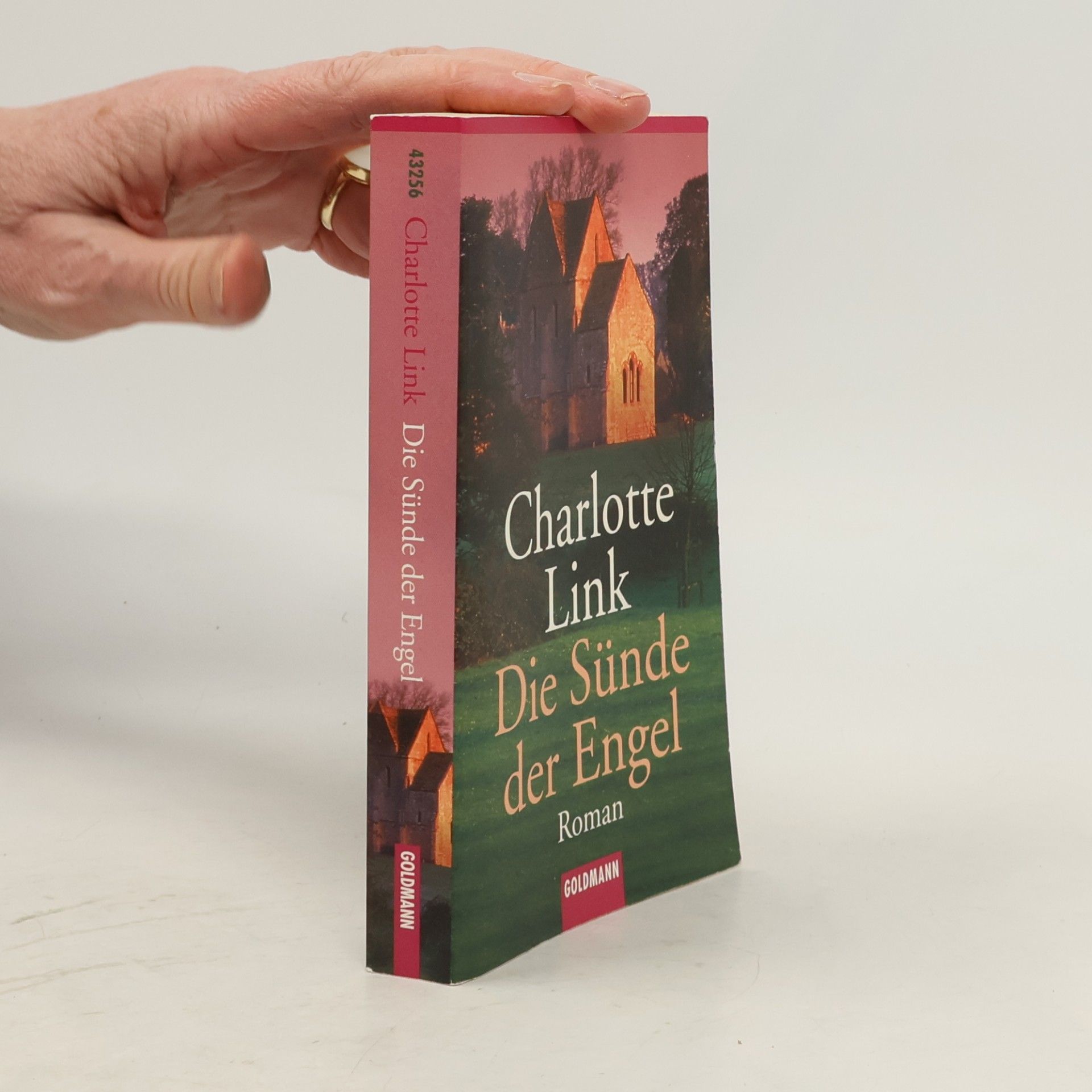 Charlotte Link Die Sünde der Engel