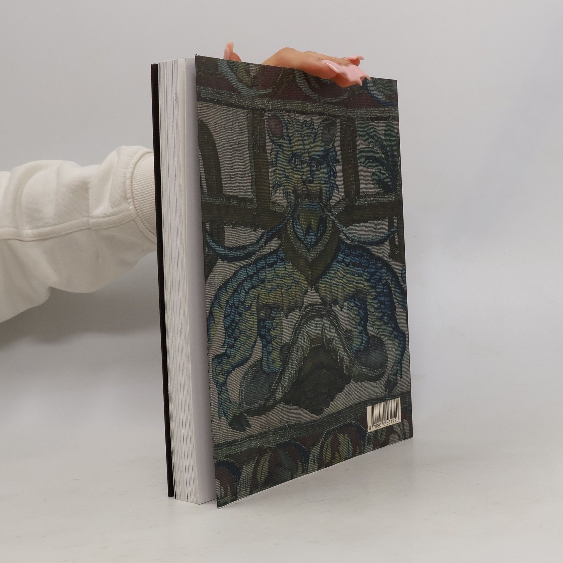 Jiří Fajt Europa Jagellonica 1386-1572 : umění a kultura ve střední Evropě za vlády Jagellonců