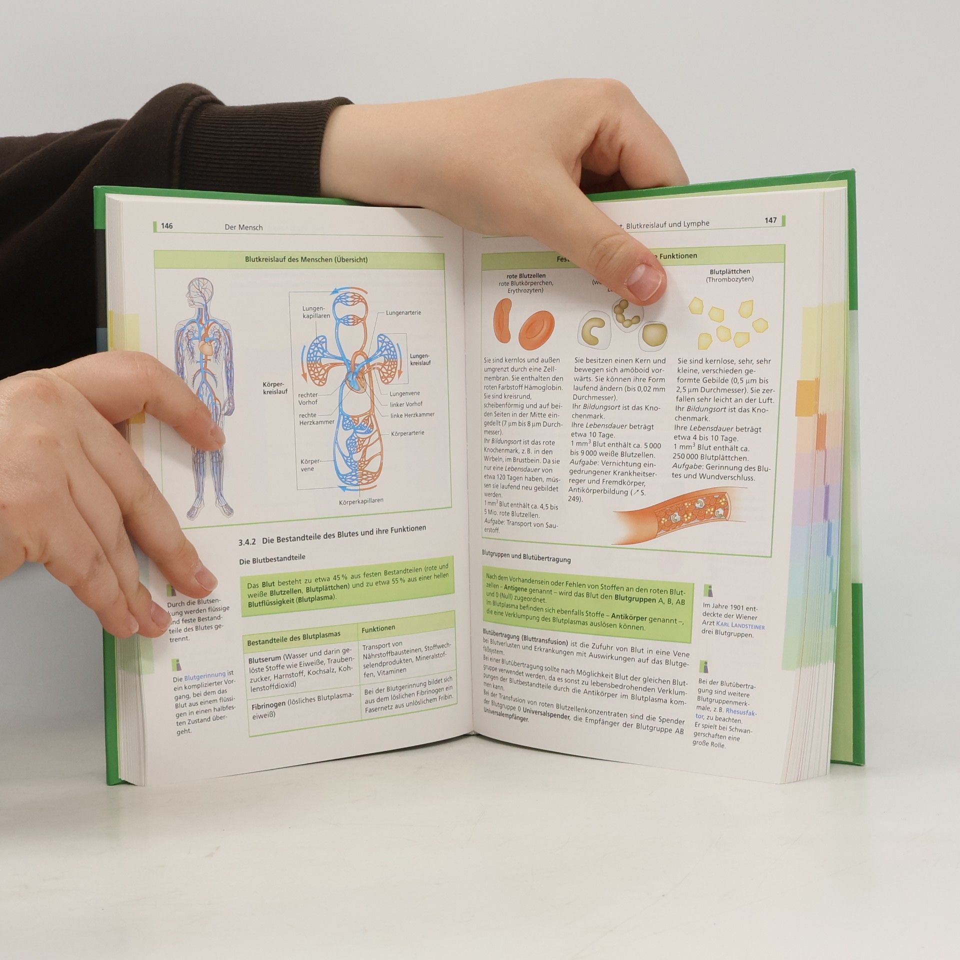 Autorenkollektiv Biologie
