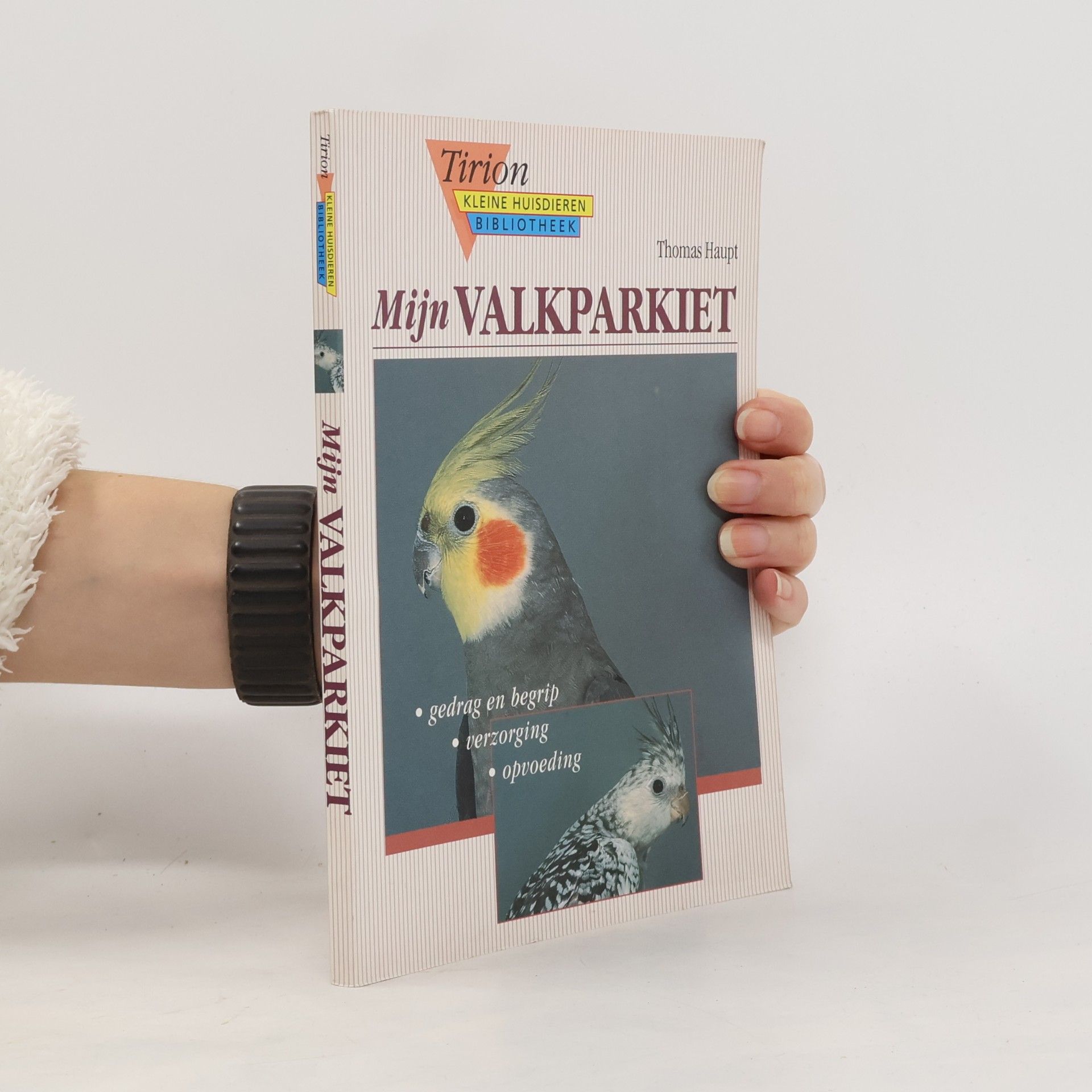 Mijn Valkparkiet
