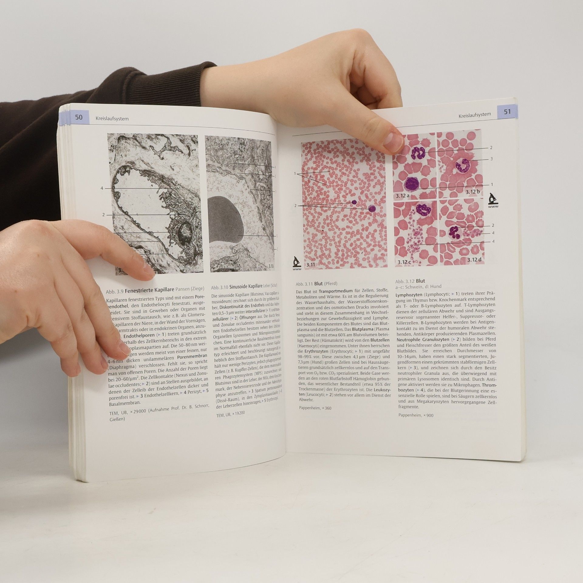 Karl Dietrich Weyrauch Histologie-Kurs für Veterinärmediziner