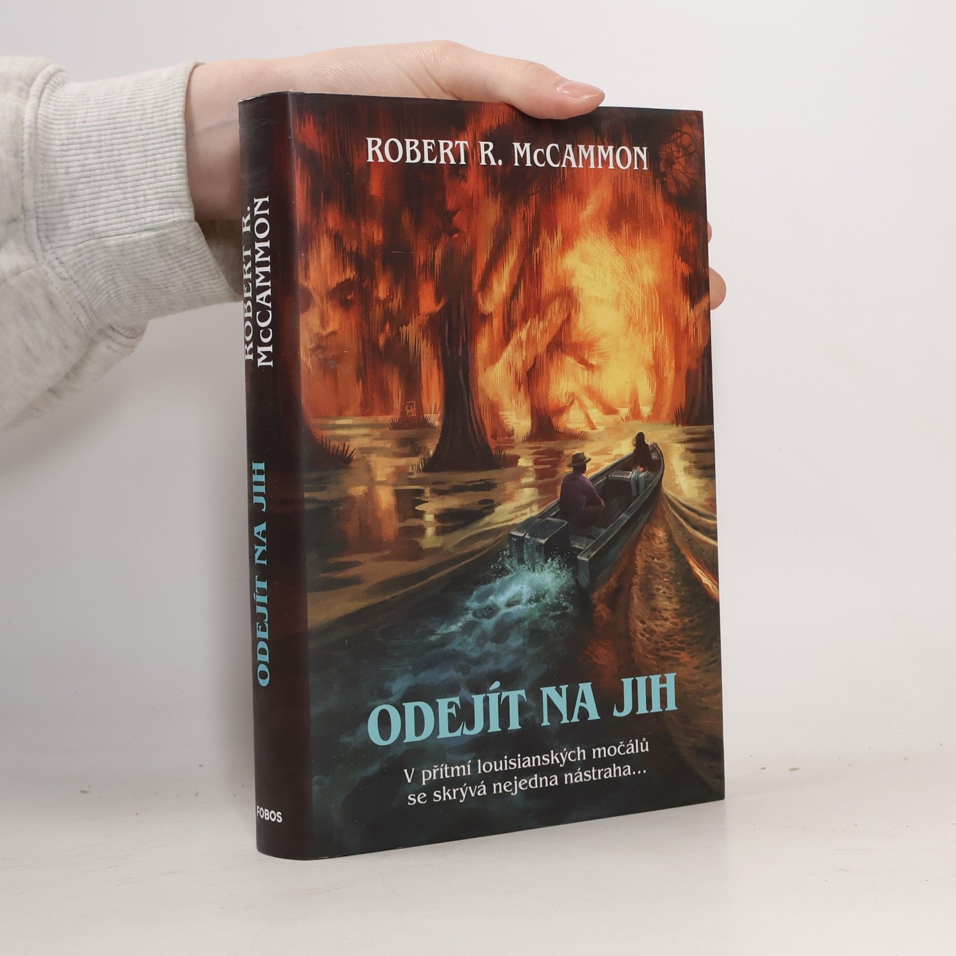Robert McCammon Odejít na jih