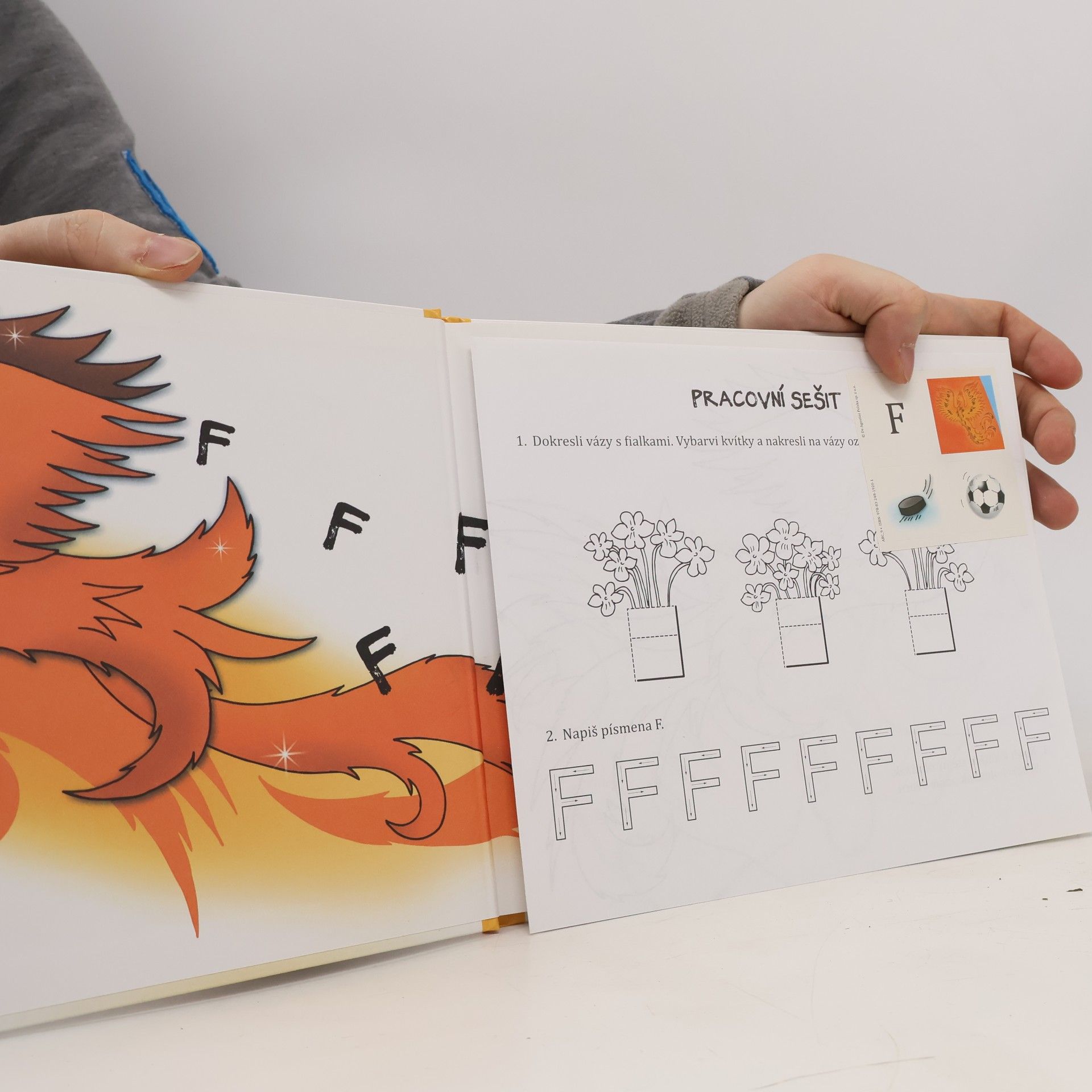 Jindřiška Ptáčková F jako Fénix