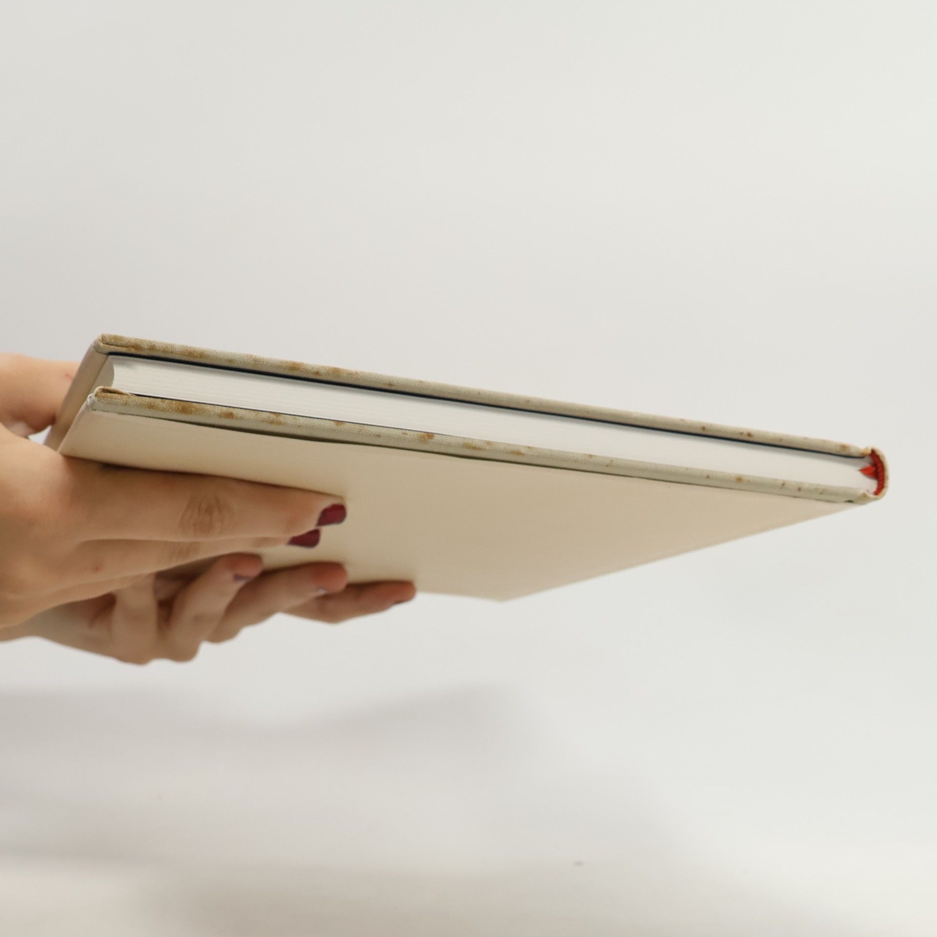 Kolektiv autorů Příběh pražské bible