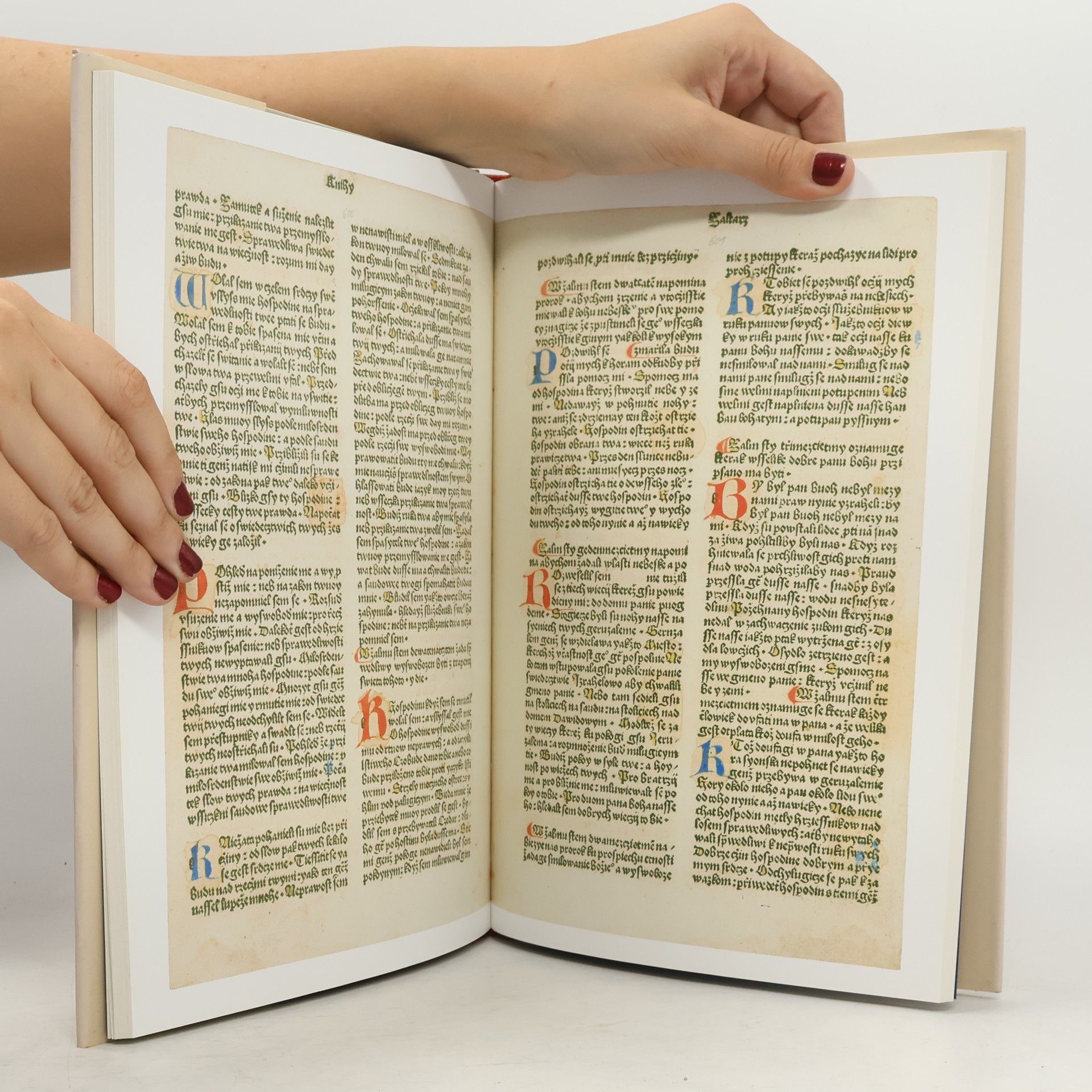 Kolektiv autorů Příběh pražské bible
