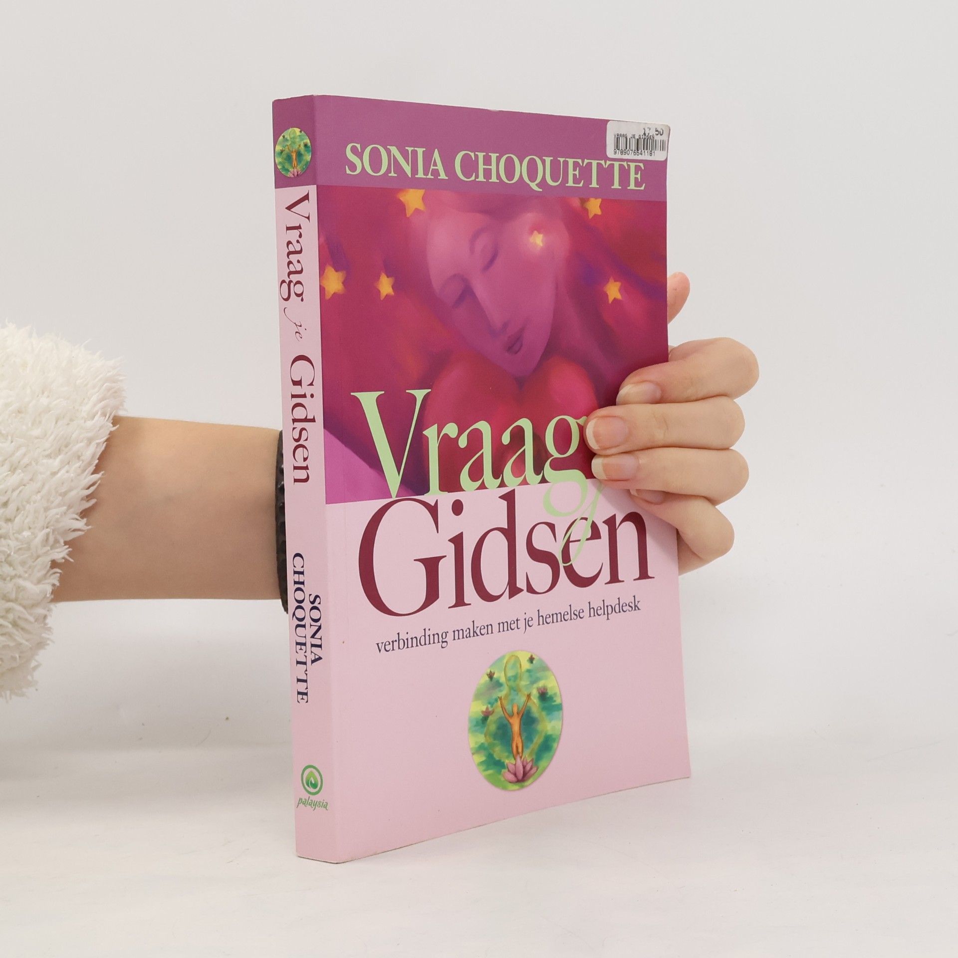 Sonia Choquette Vraag je gidsen