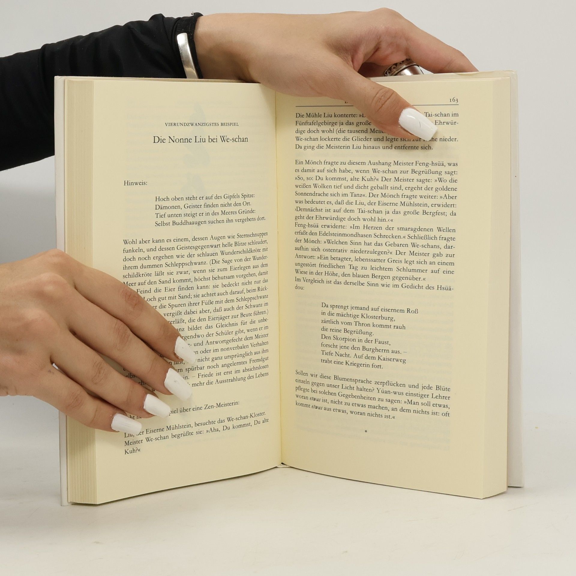 Achim Seidl Das Weisheitsbuch des Zen