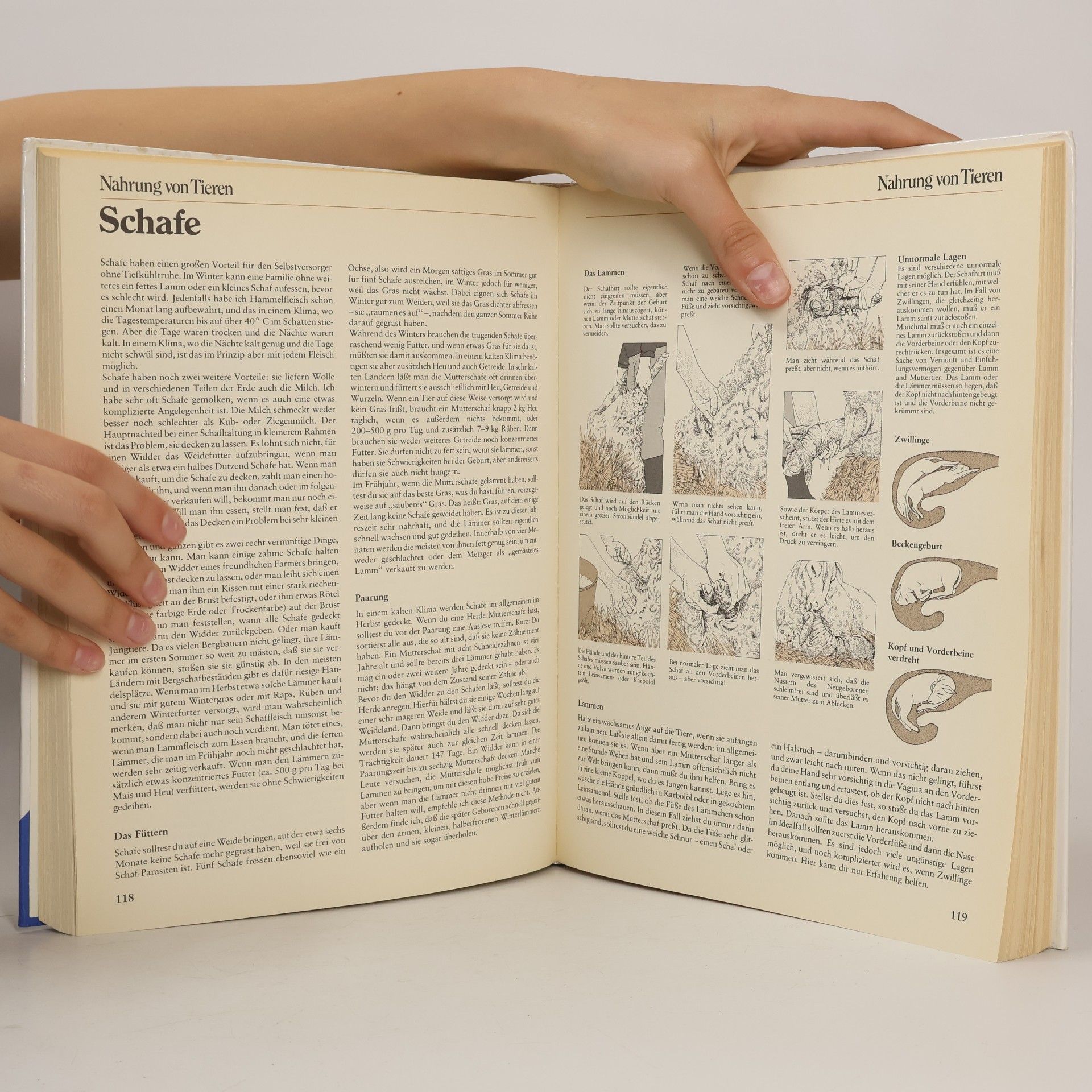 John Seymour Das grosse Buch vom Leben auf dem Lande