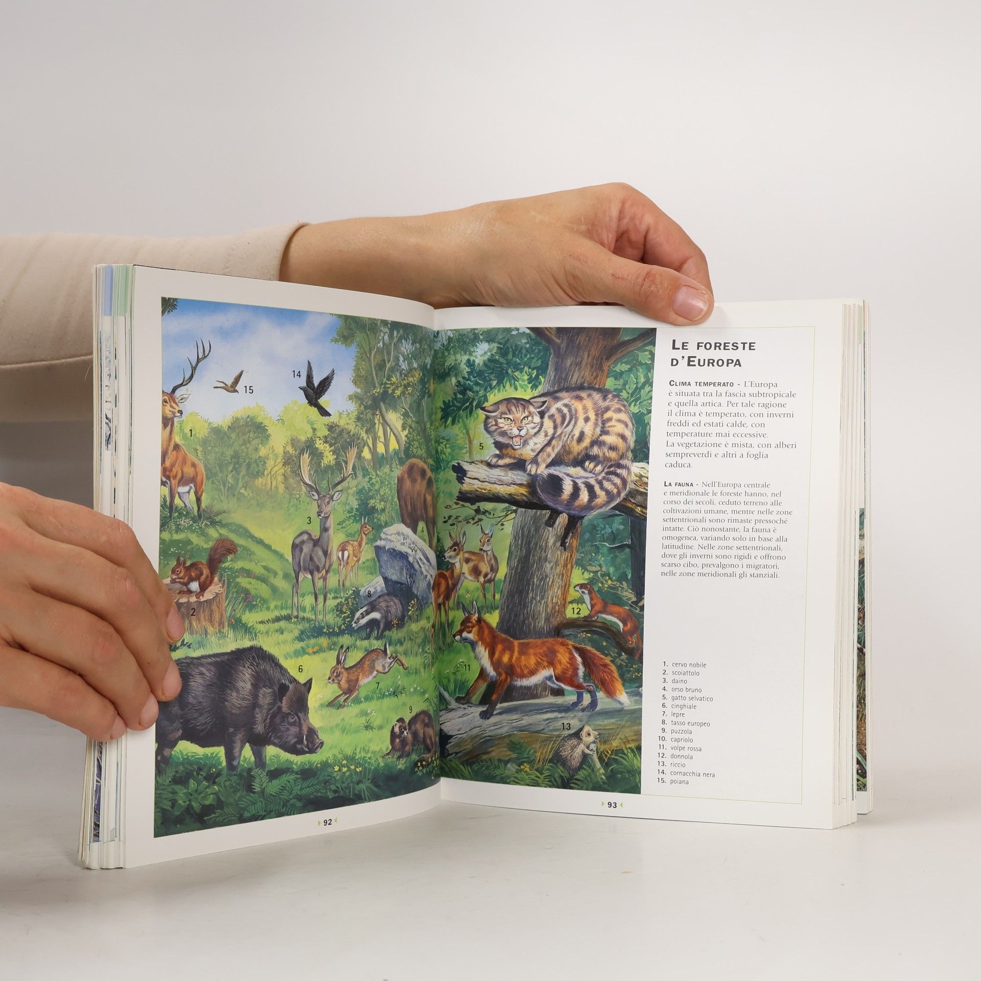 Paul Cloché Enciclopedia illustrata degli animali