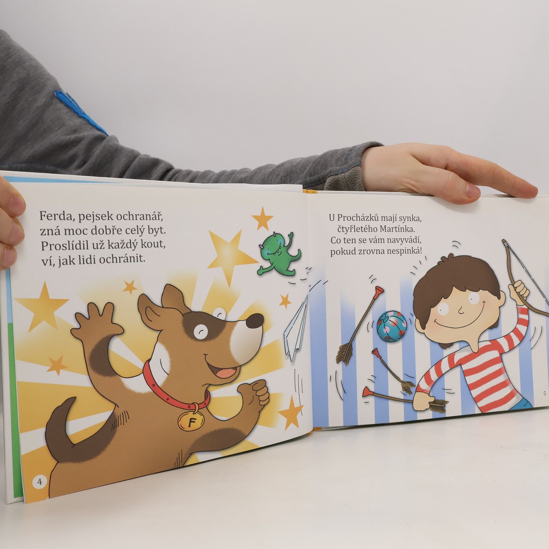 Jindřiška Ptáčková Ferda, pejsek ochranář