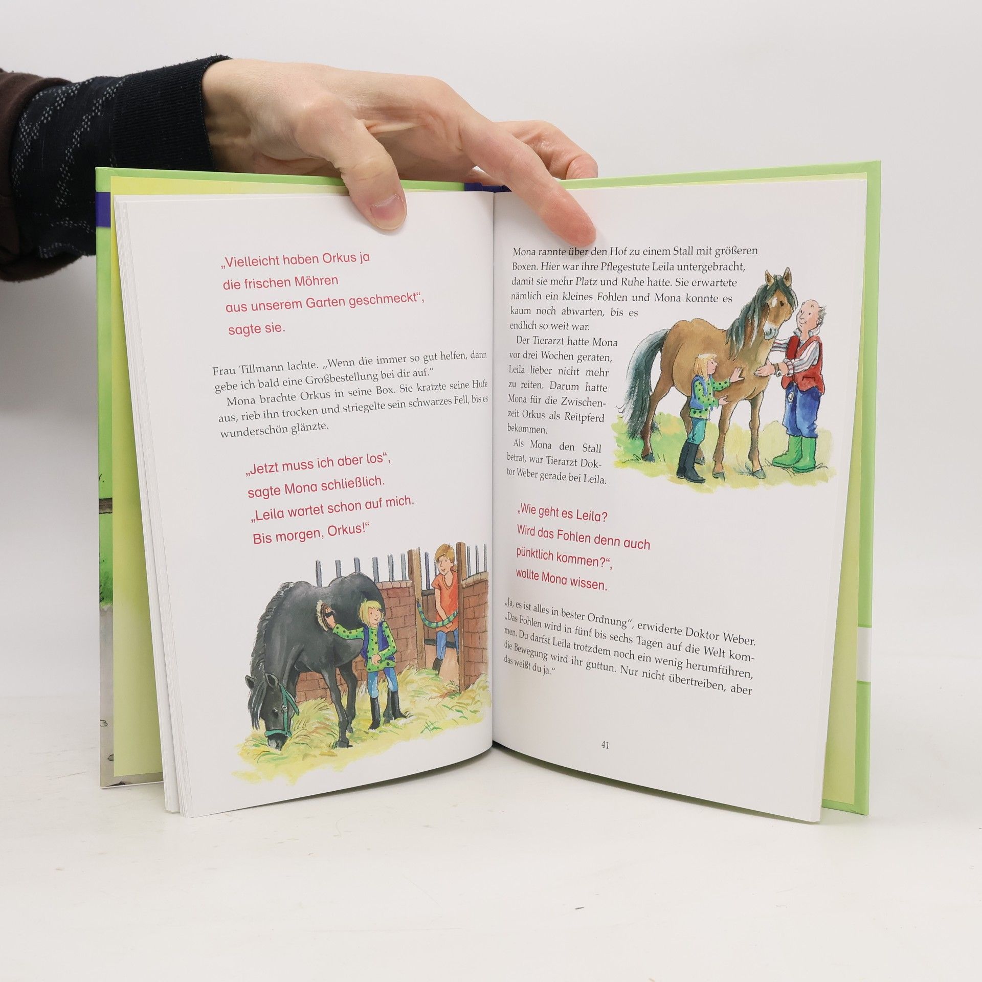 Autorenkollektiv Leselöwen: Pferdegeschichten. Lesestufe 2