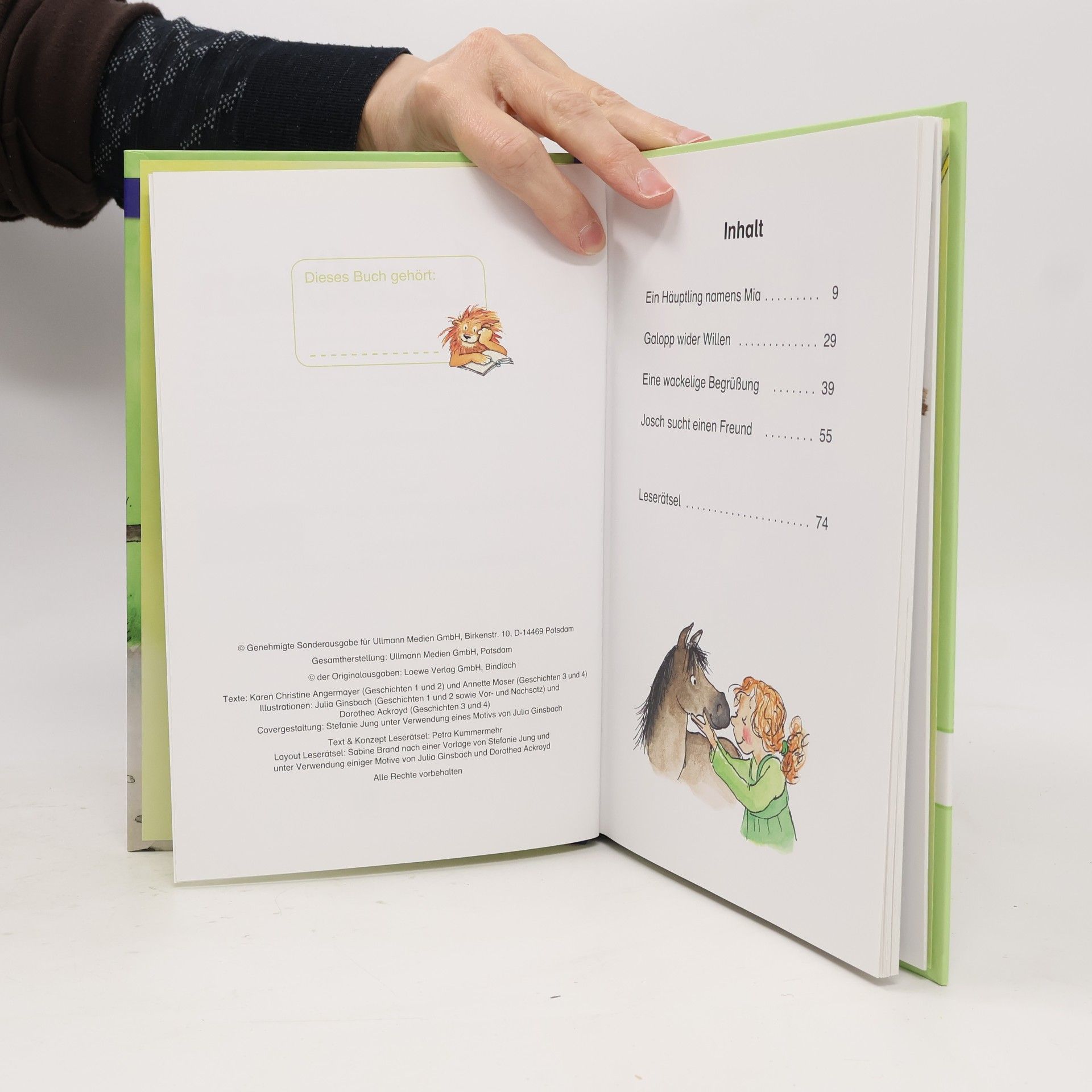 Autorenkollektiv Leselöwen: Pferdegeschichten. Lesestufe 2