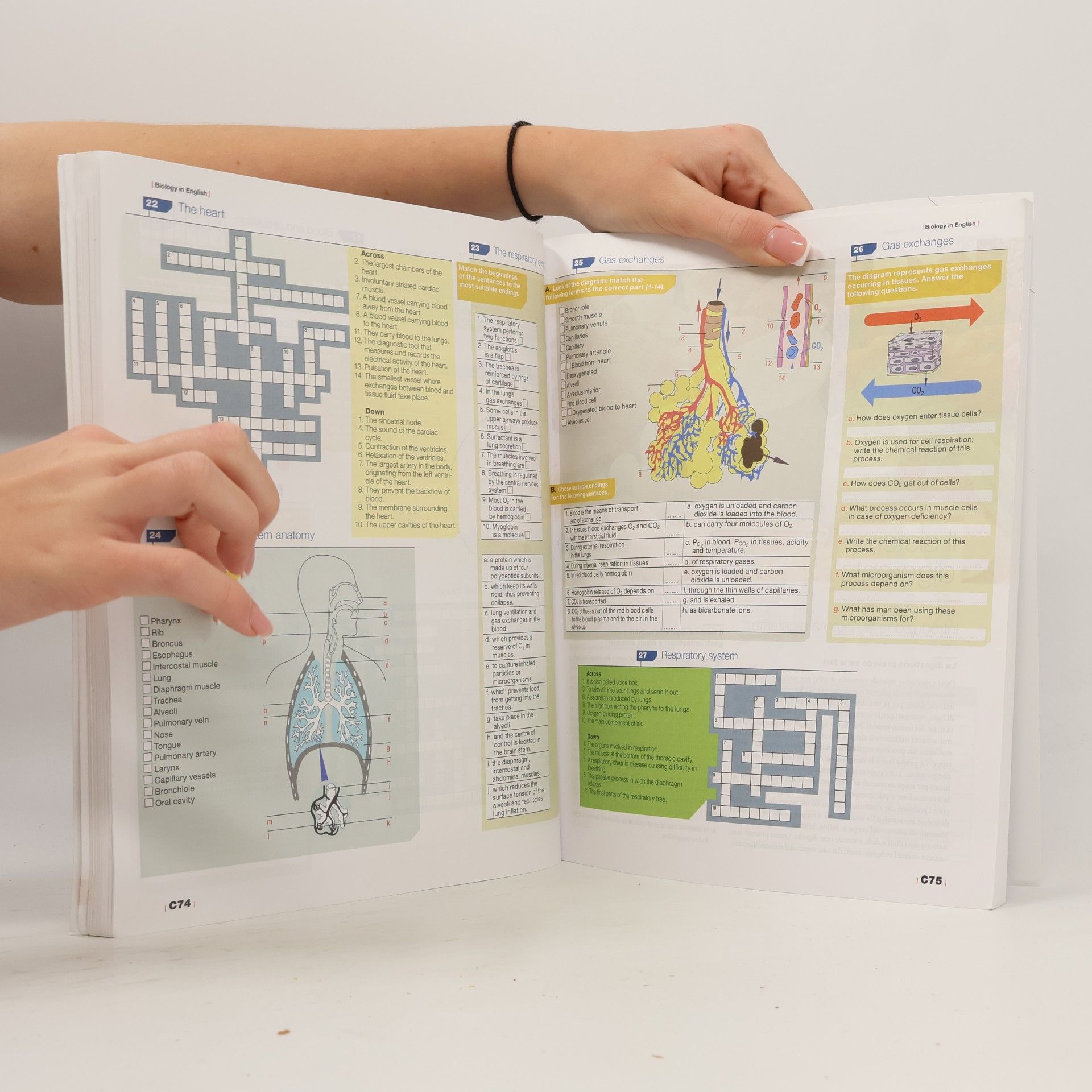 Helena Curtis Invito alla biologia.blu. Corpo umano. Con interactive e-book. Per le scuole superiori. Con espansione online