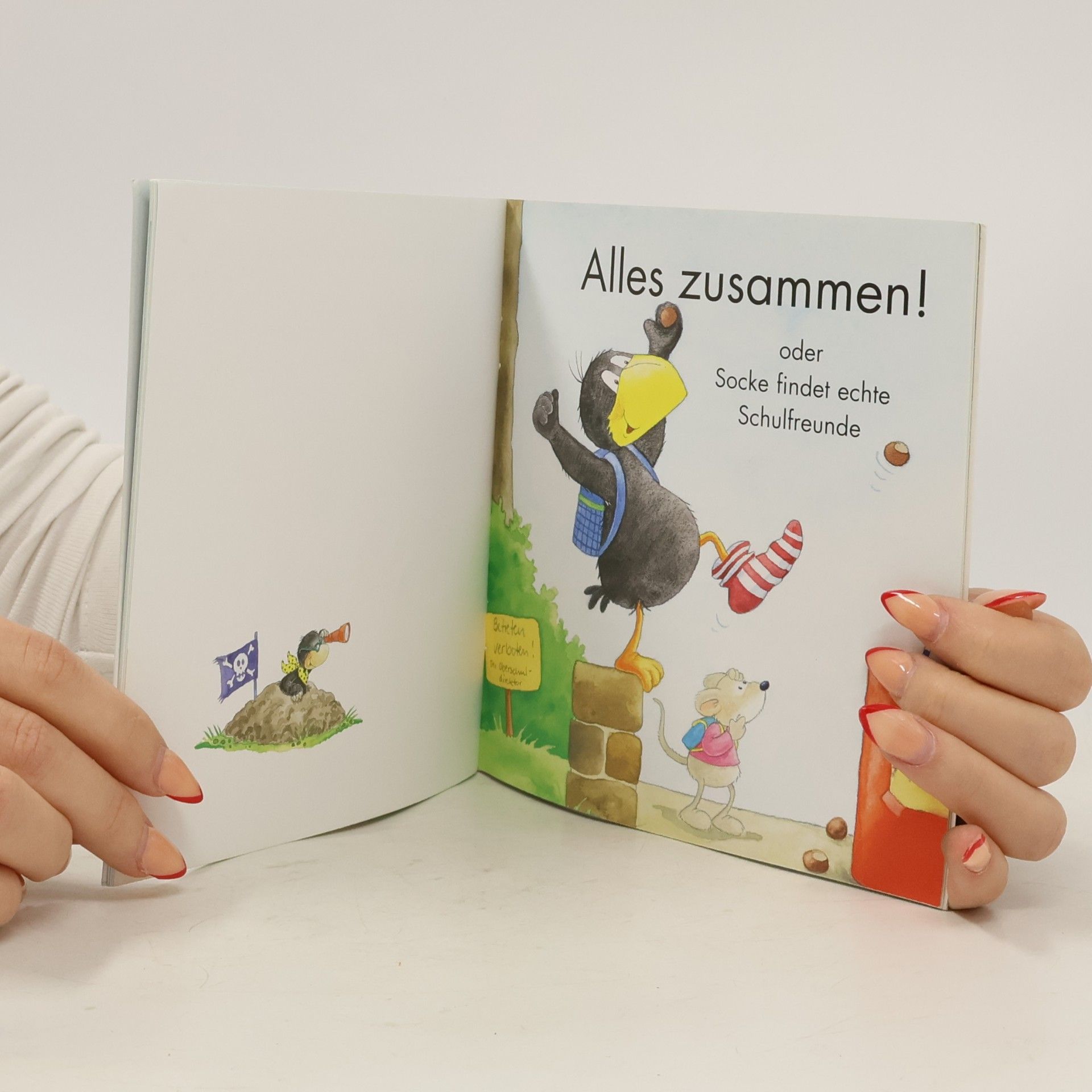 Nele Moost Maxi Pixi 315: Rabe Socke freut sich auf die Schule