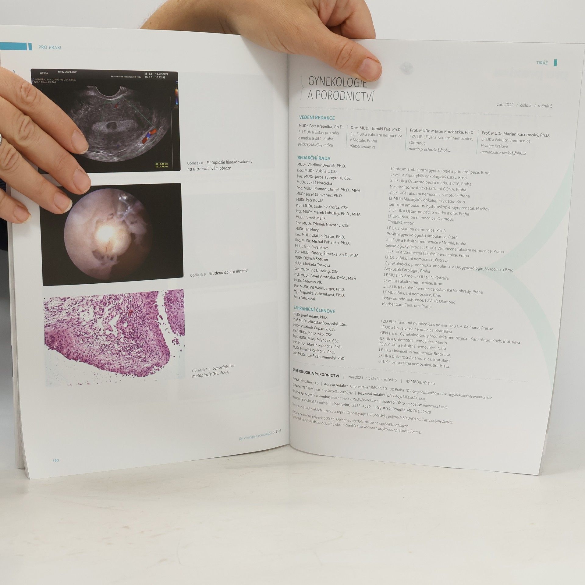 Křepelka P. Gynekologie a porodnictví