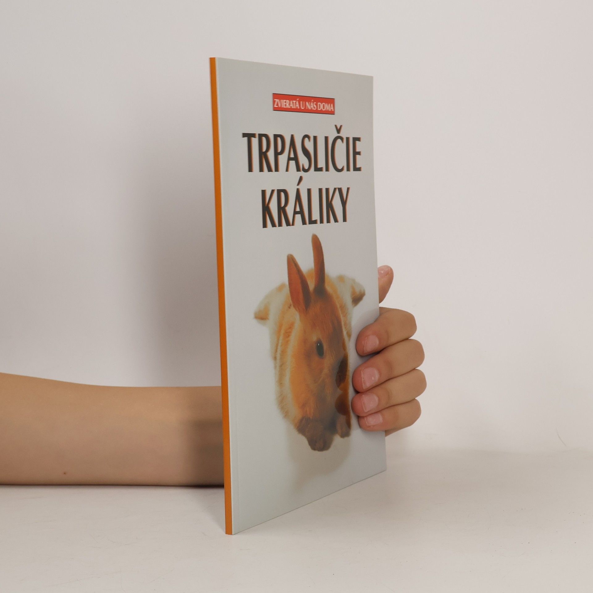 Trpasličie králiky