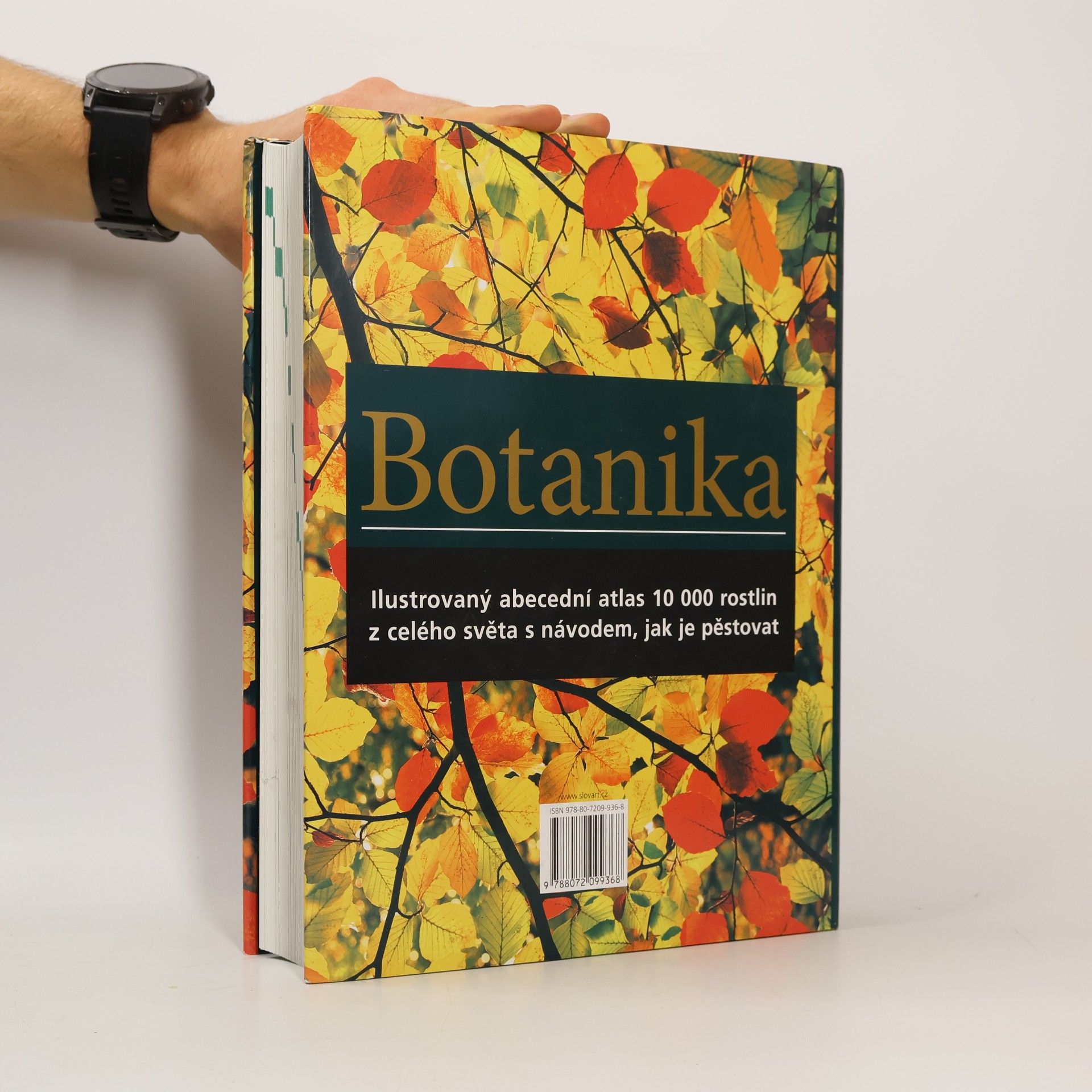 Geoffrey Burnie Botanika. Ilustrovaný abecední atlas 10 000 zahradních rostlin s návodem, jak je pěstovat