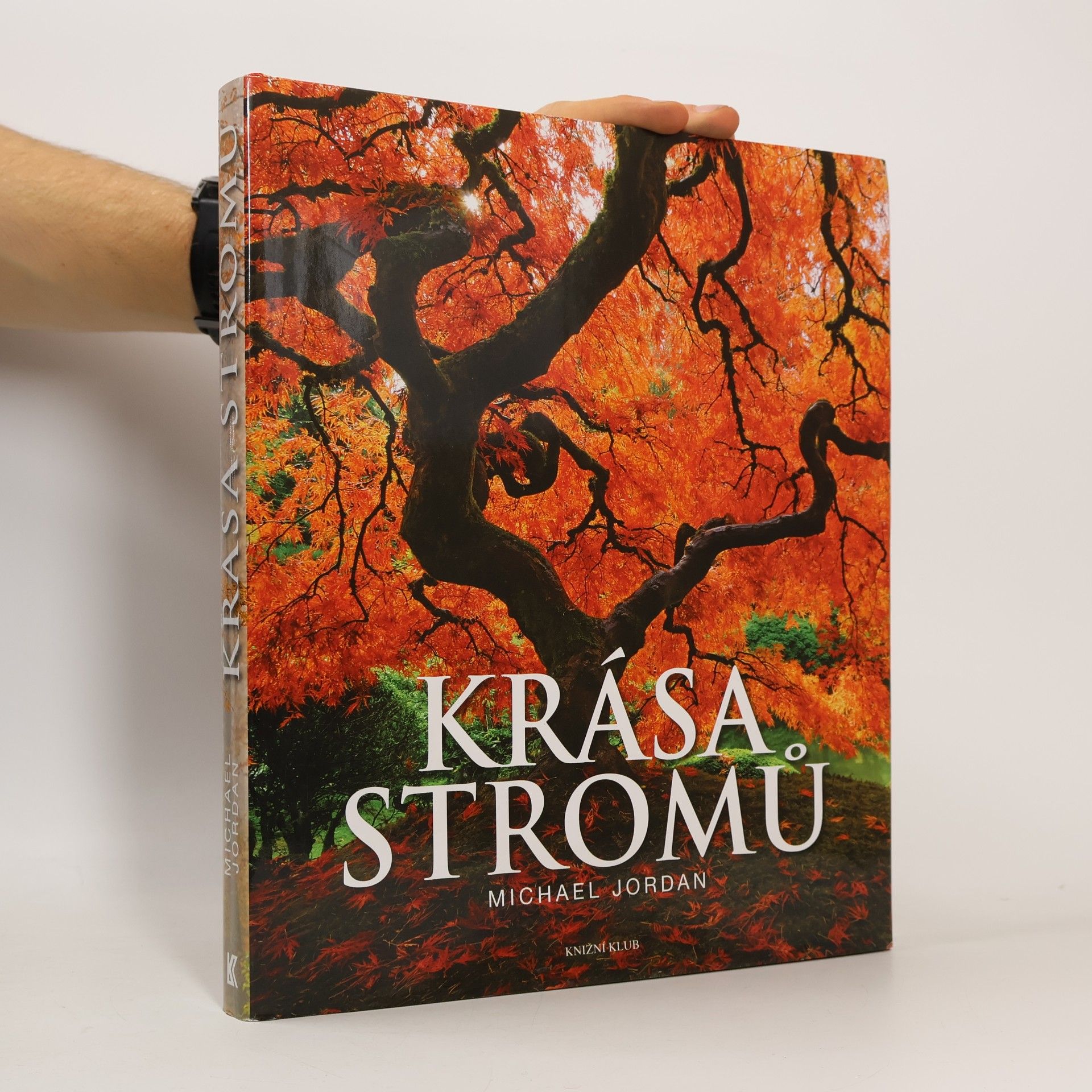 Krása stromů