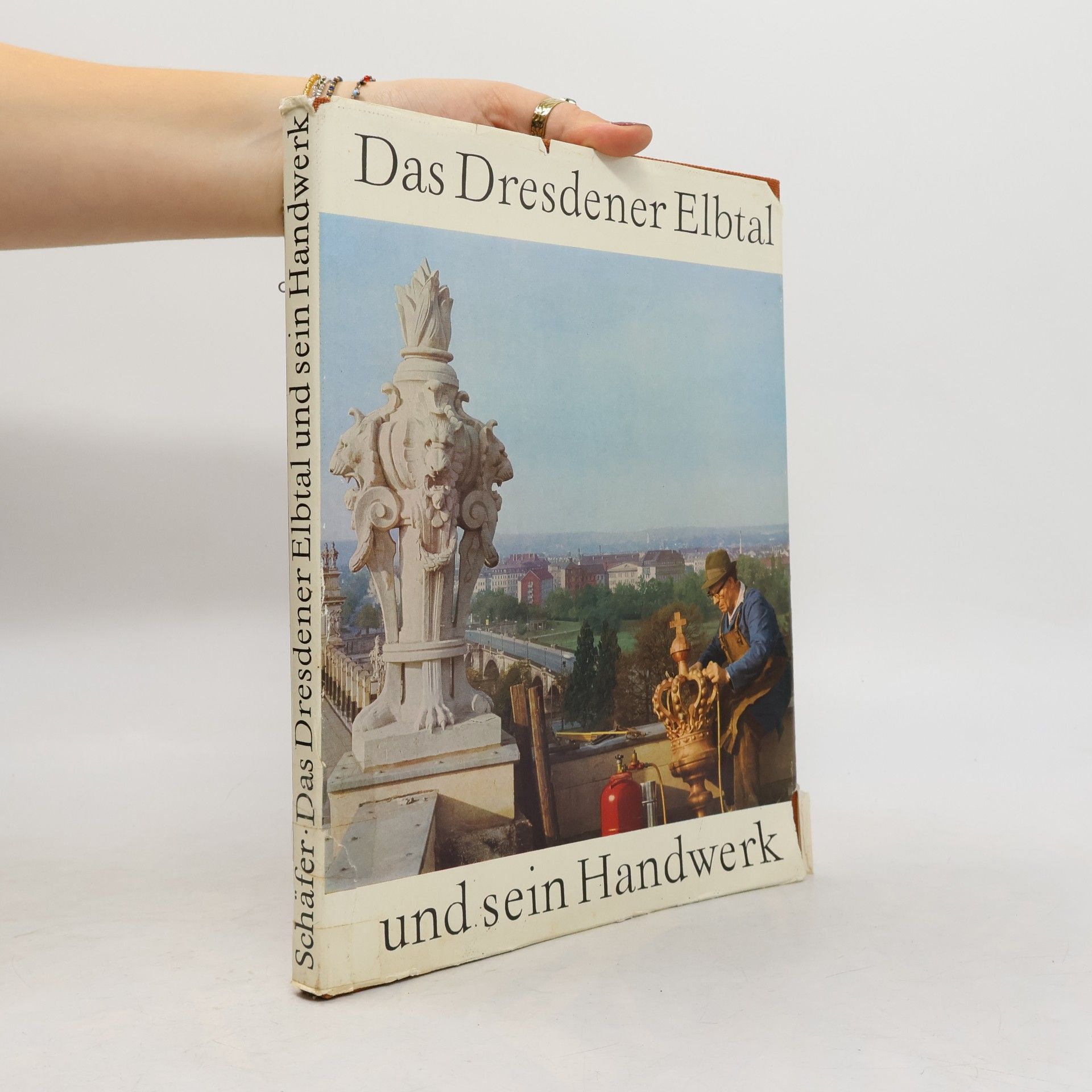 Autorenkollektiv Das Dresdener Elbtal und sein Handwerk
