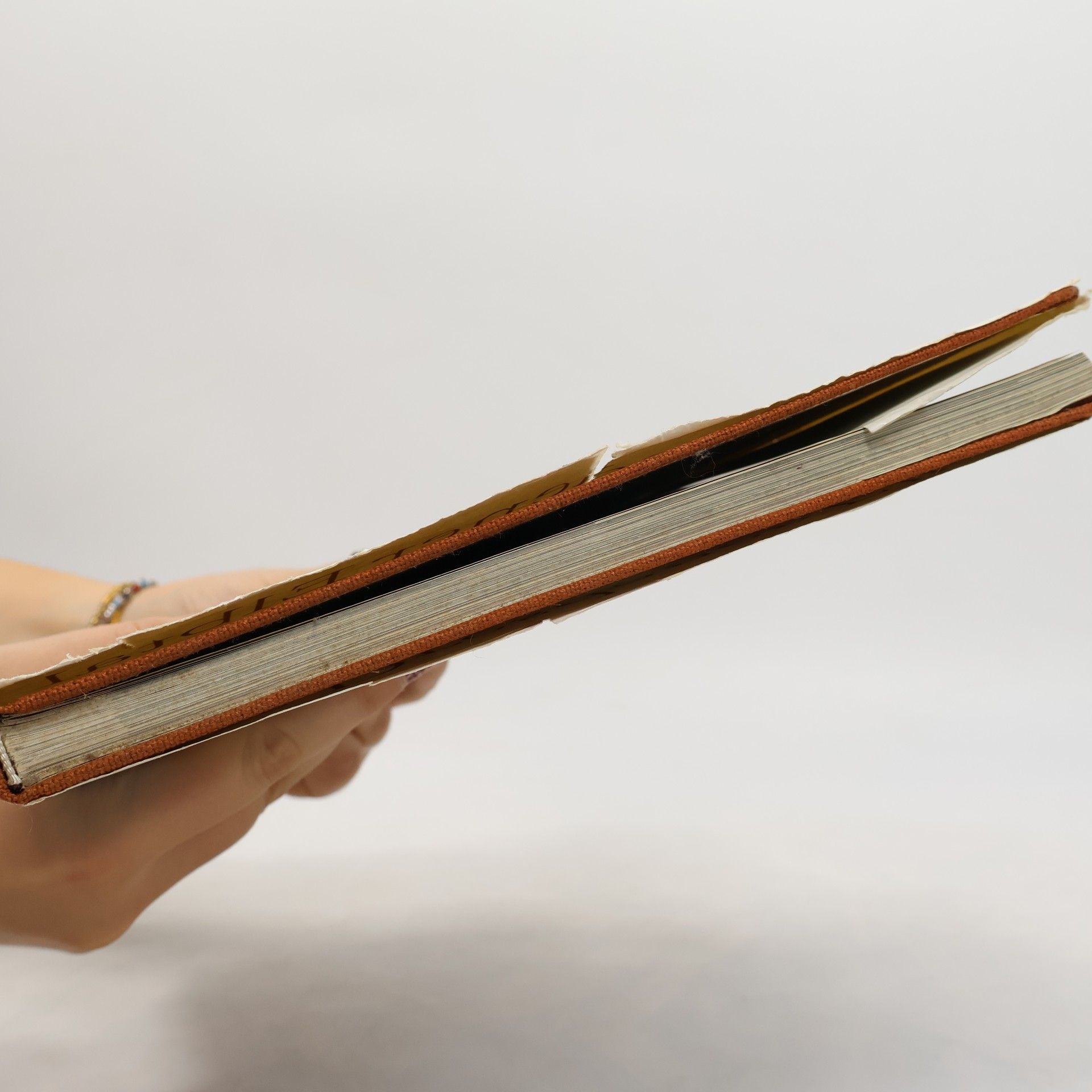 Autorenkollektiv Das Dresdener Elbtal und sein Handwerk