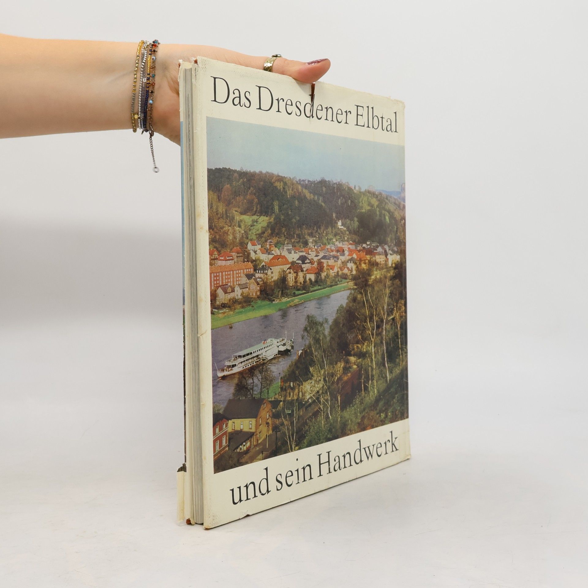 Autorenkollektiv Das Dresdener Elbtal und sein Handwerk