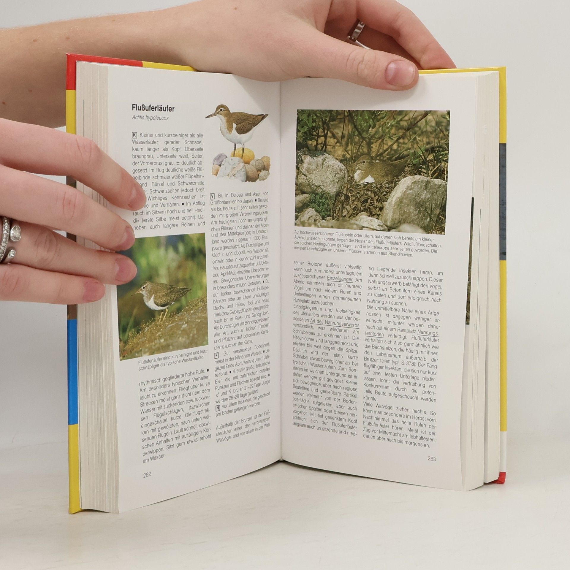 Einhard Bezzel BLV-Handbuch Vögel
