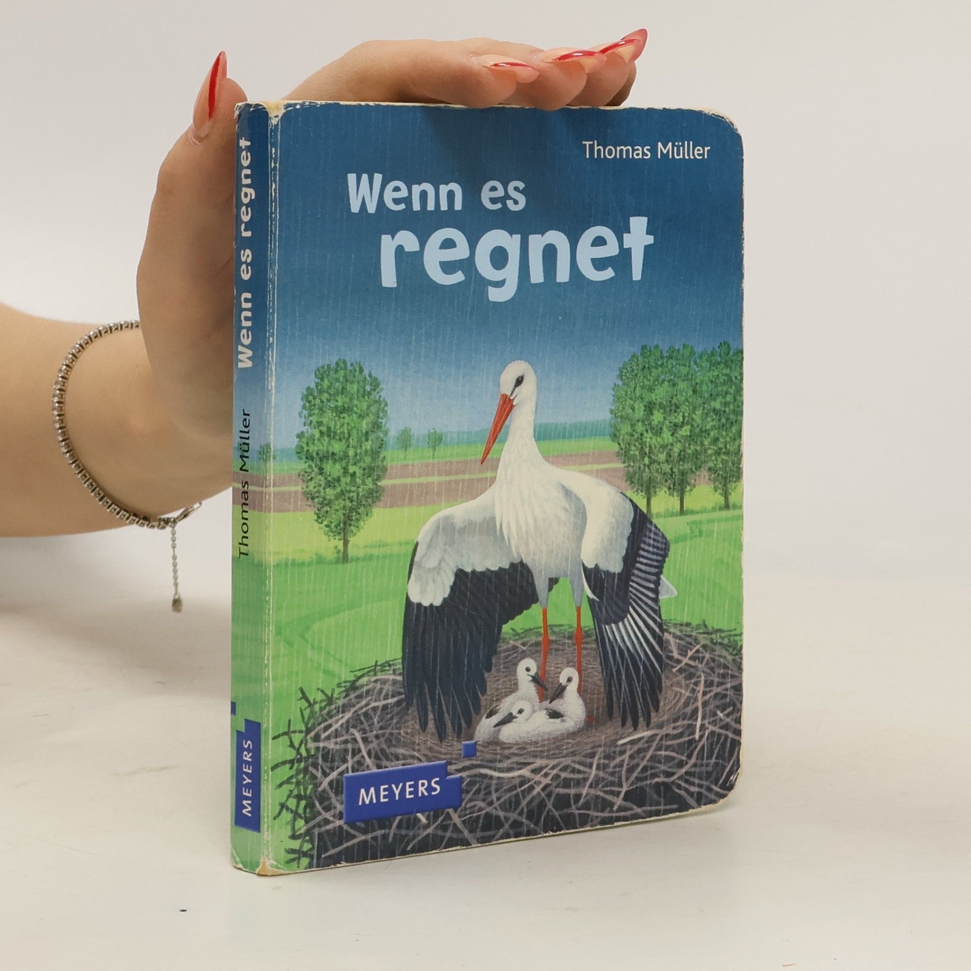 Wenn es regnet