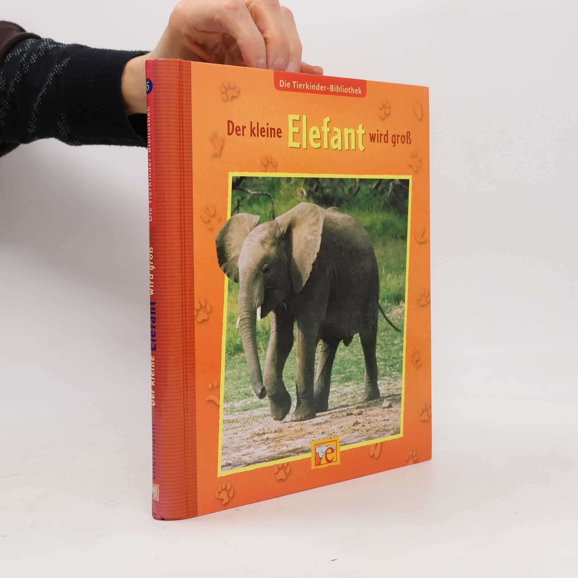 Der kleine Elefant wird groß