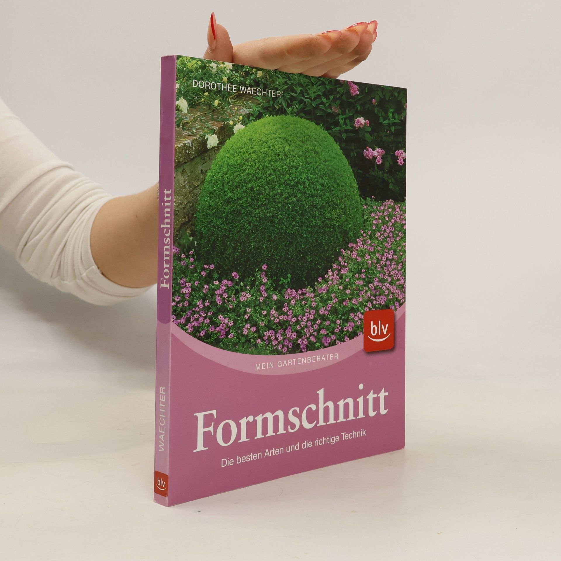 Formschnitt