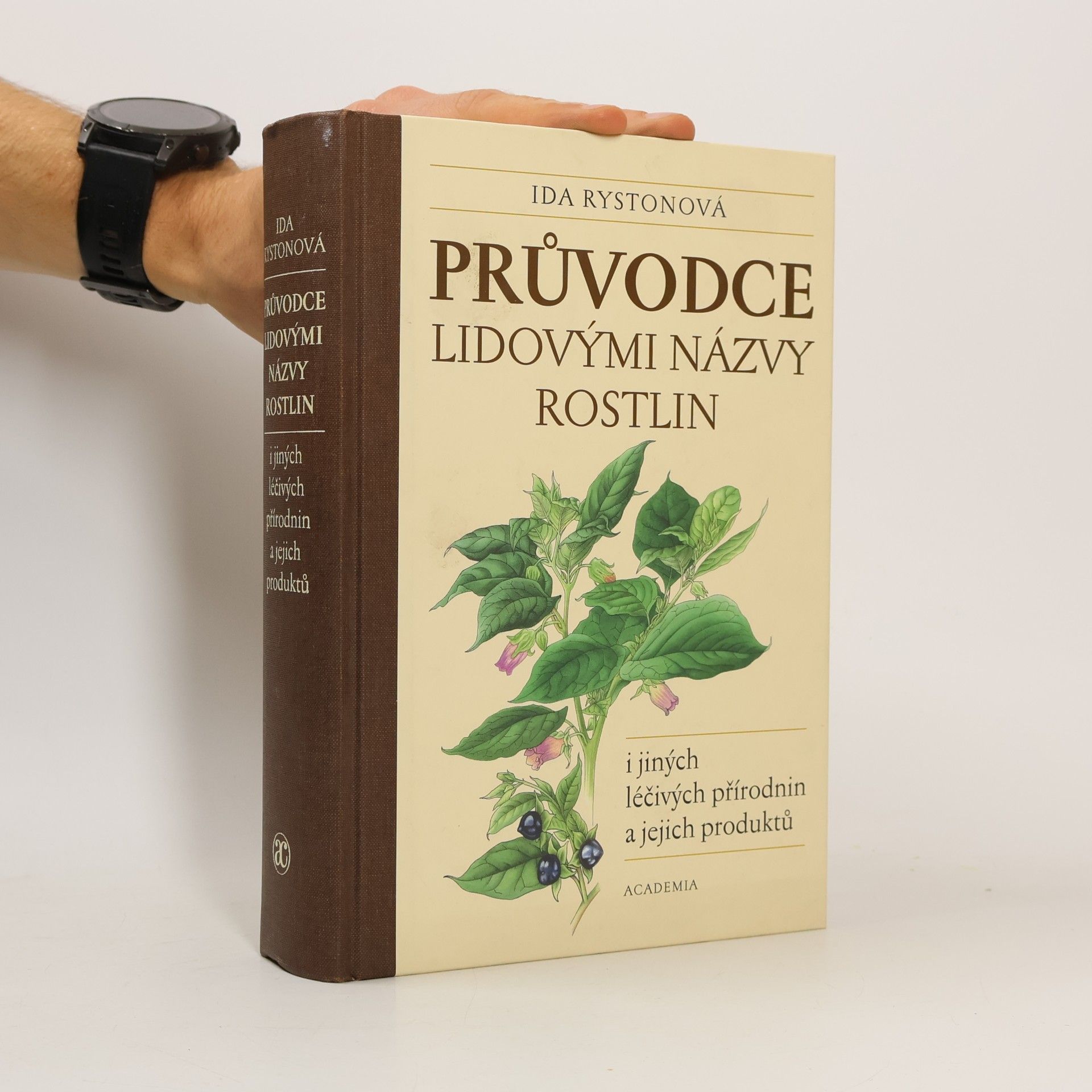 Průvodce lidovými názvy rostlin i jiných léčivých přírodnin a jejich produktů