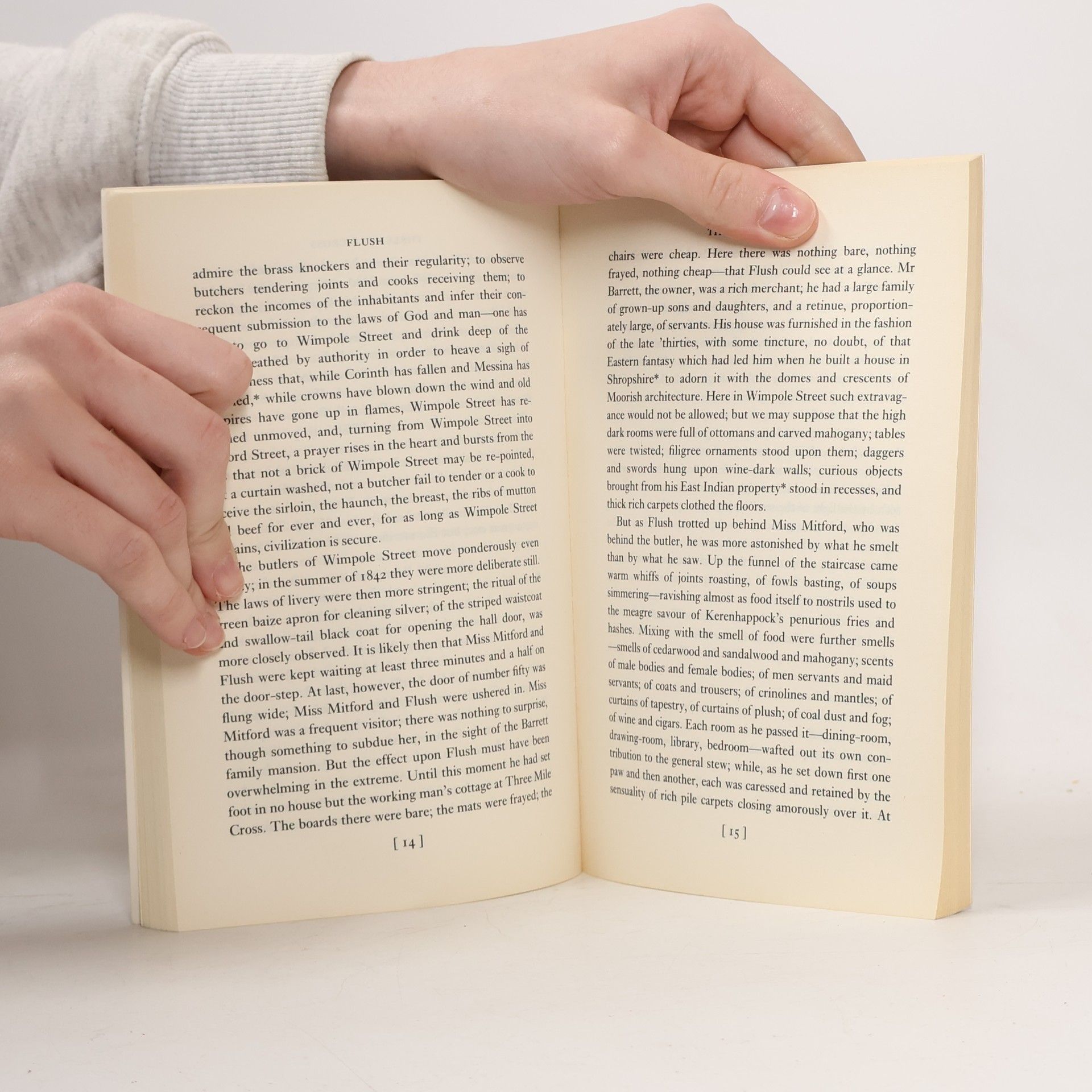 Virginia Woolf Flush, English edition