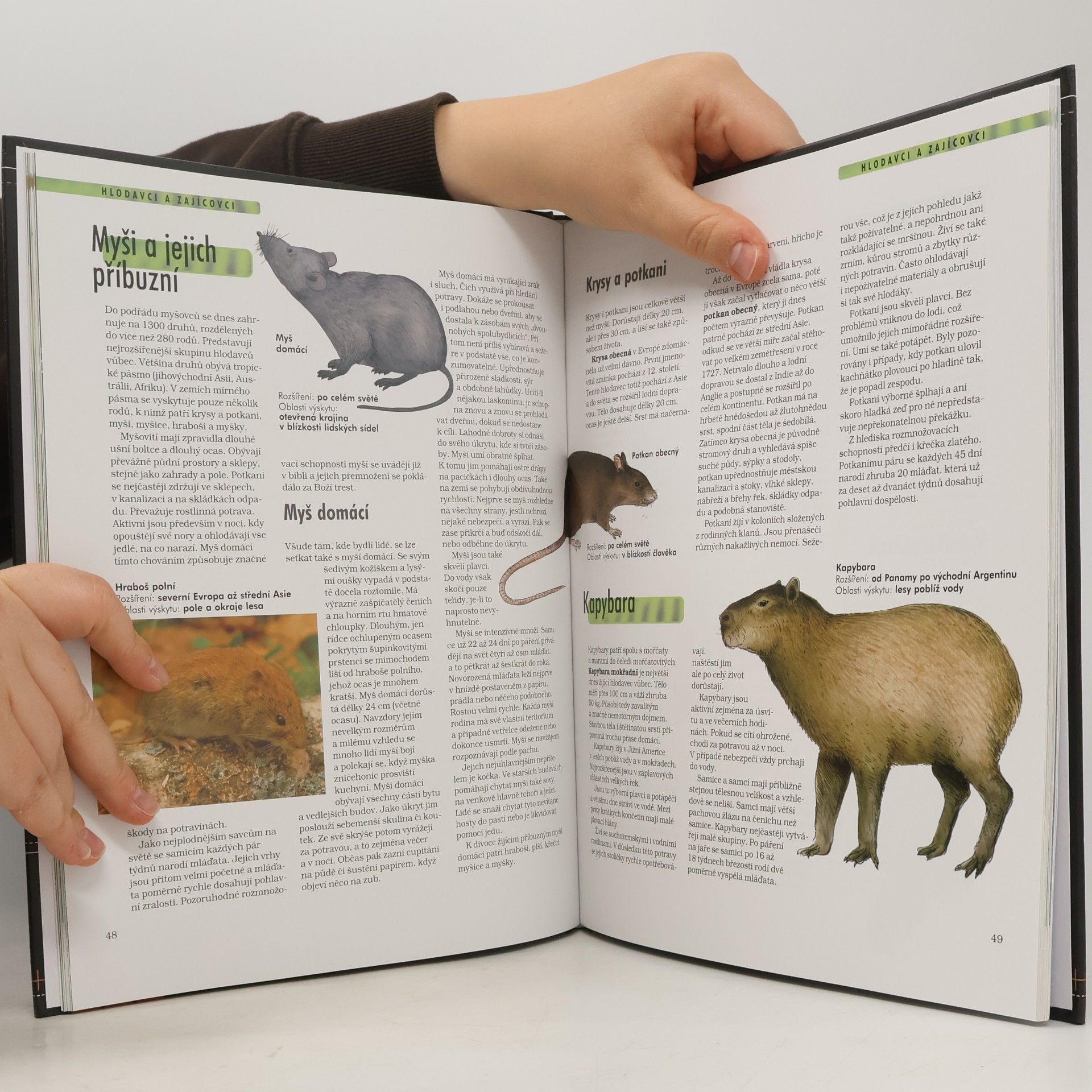 Autorenkollektiv Savci. Anatomie, chování, oblasti výskytu