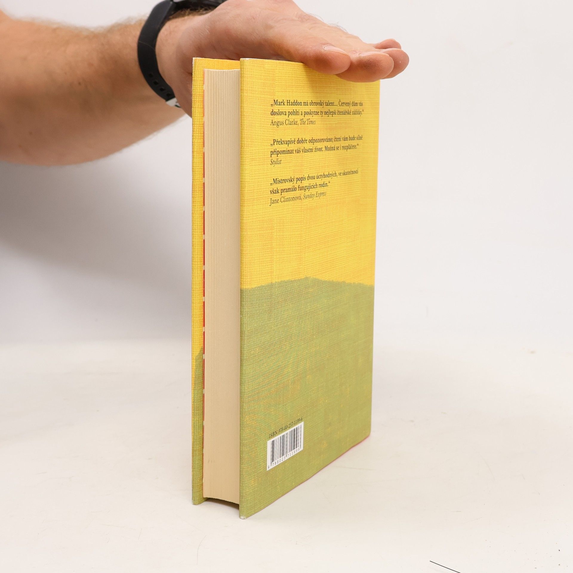Mark Haddon Červený dům